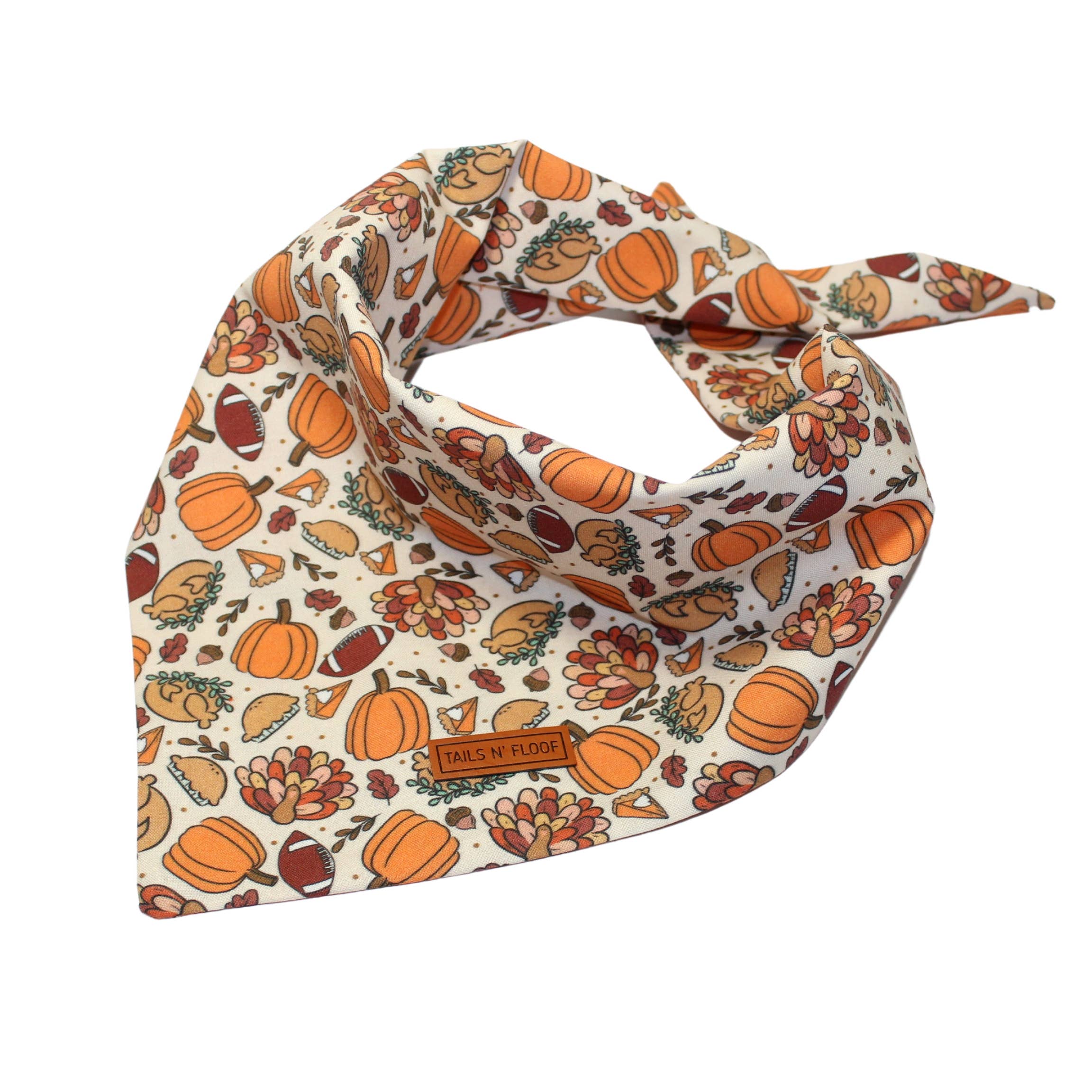 Tails N' Floof Feast & Football Bandana