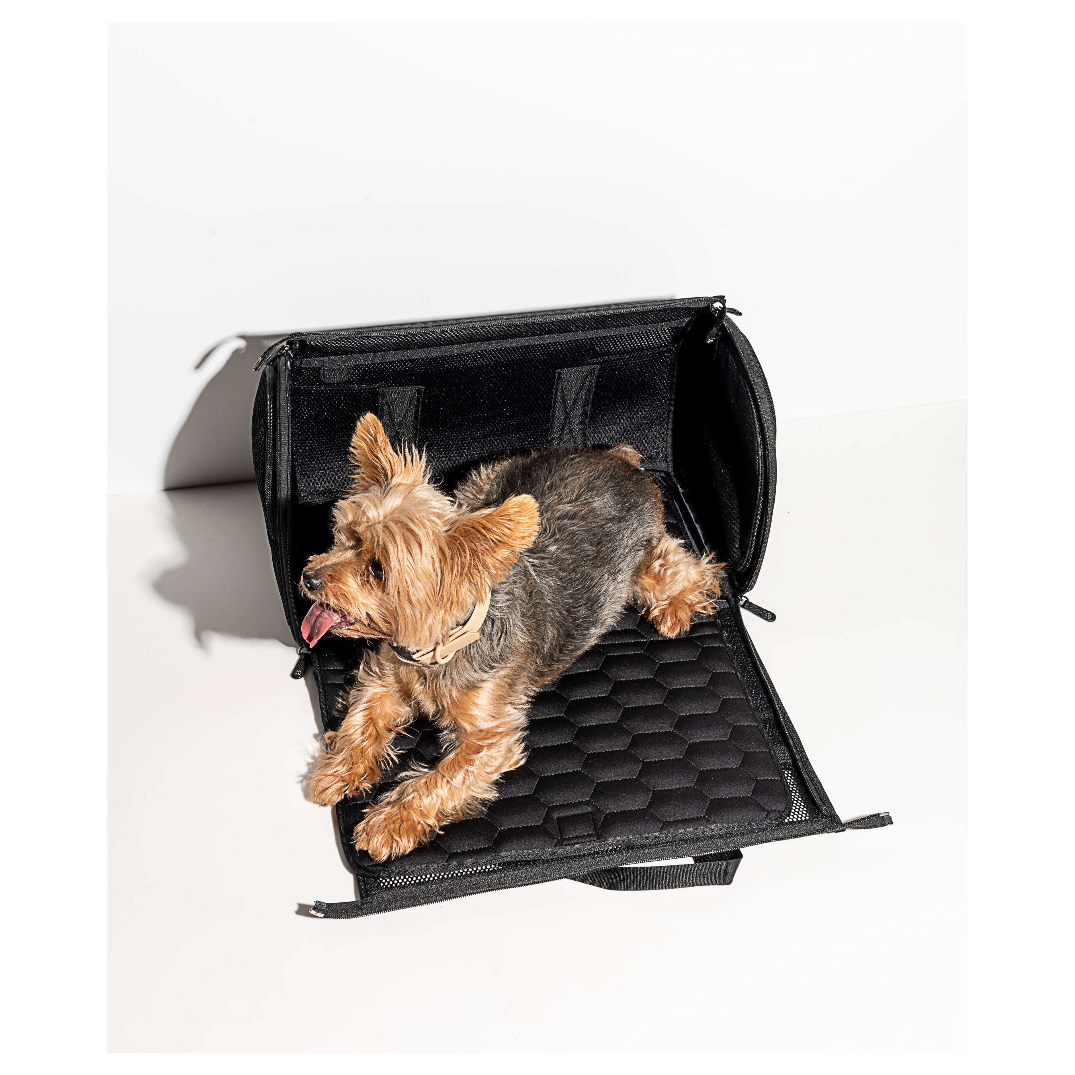 Wild One Travel TSA Compliant Pet Dog Carrier