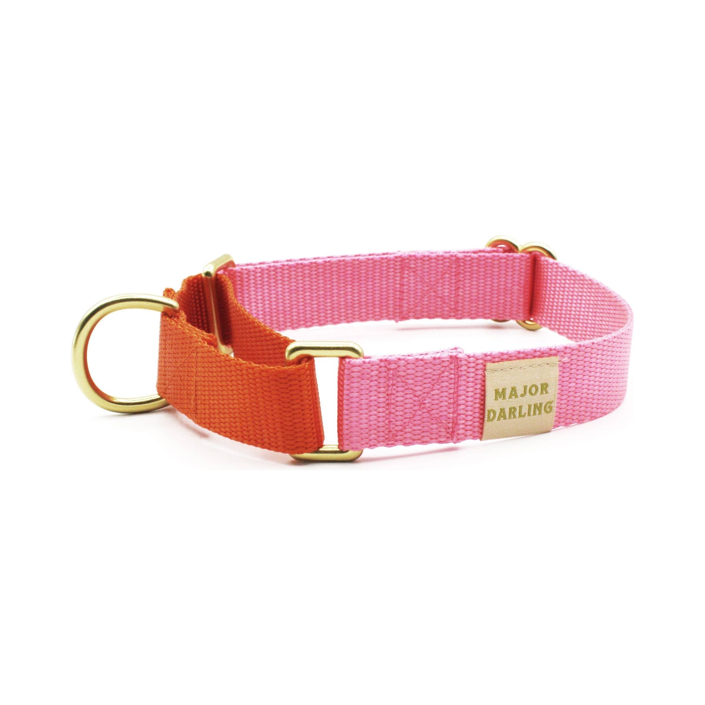 Major Darling Pink with Orange Martingale Collar
