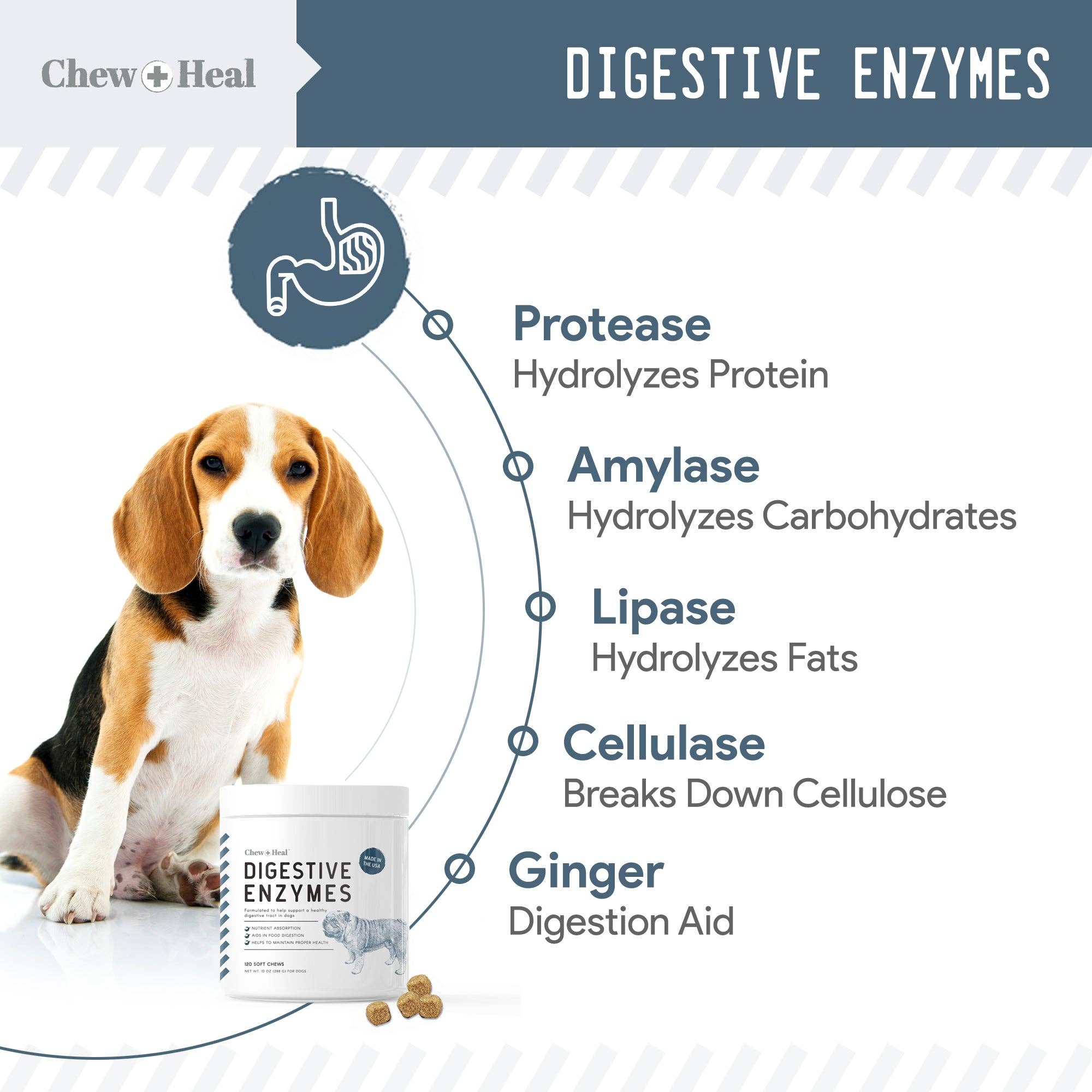 Chew + Heal Digestive Enzymes with Probiotics
