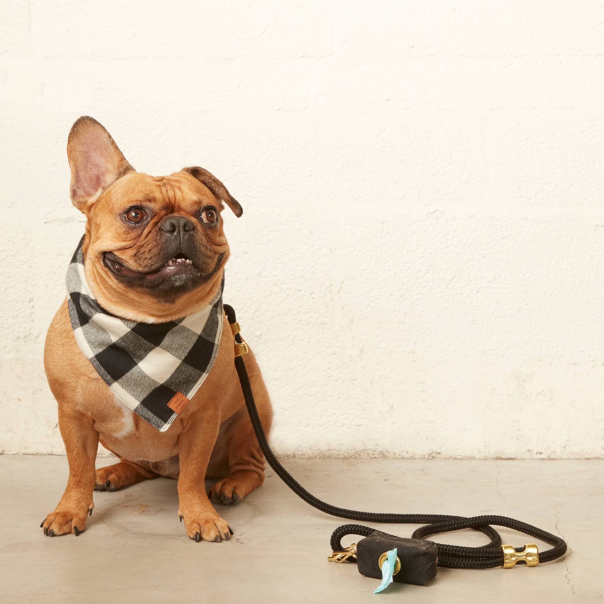 The Foggy Dog Onyx Waxed Canvas Poop Bag Dispenser