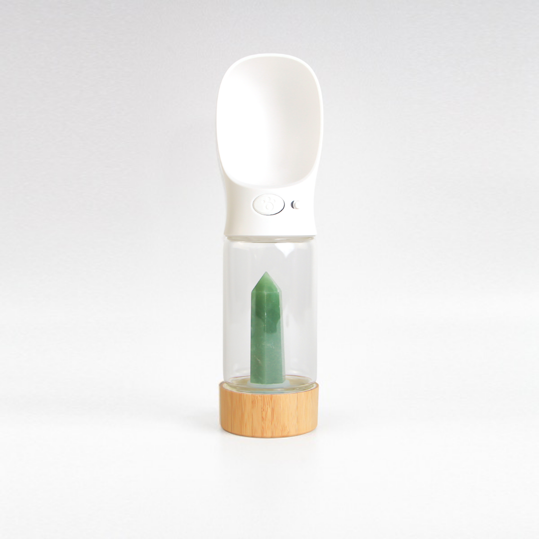 Merci Collective Urban Oasis Water Bottle