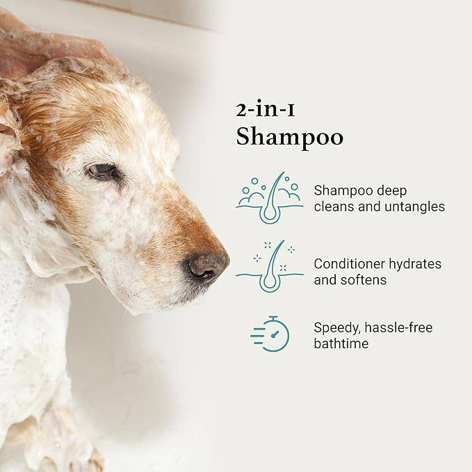 iGroom Shampoo & Conditioner 16oz