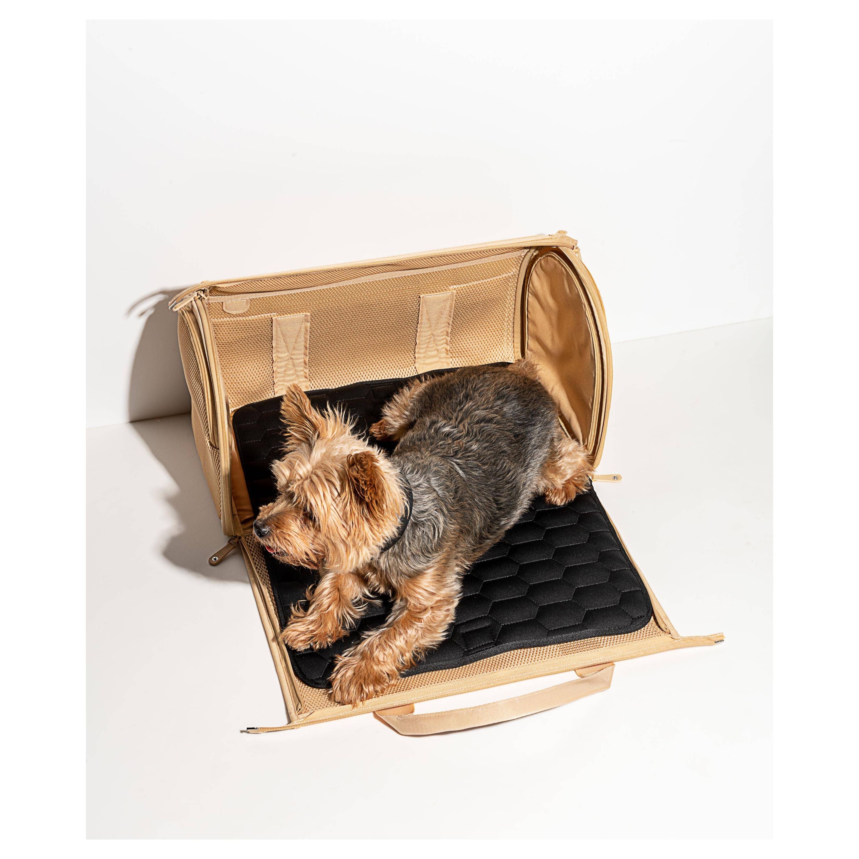 Wild One Travel TSA Compliant Pet Dog Carrier