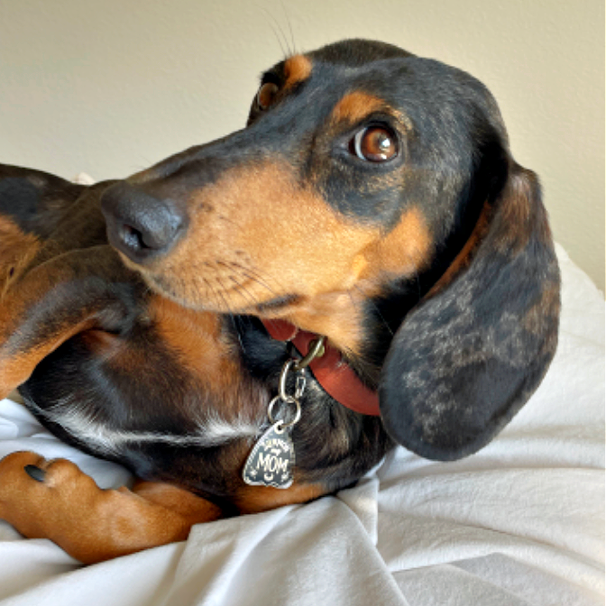 Bad Tags Summon My Mom