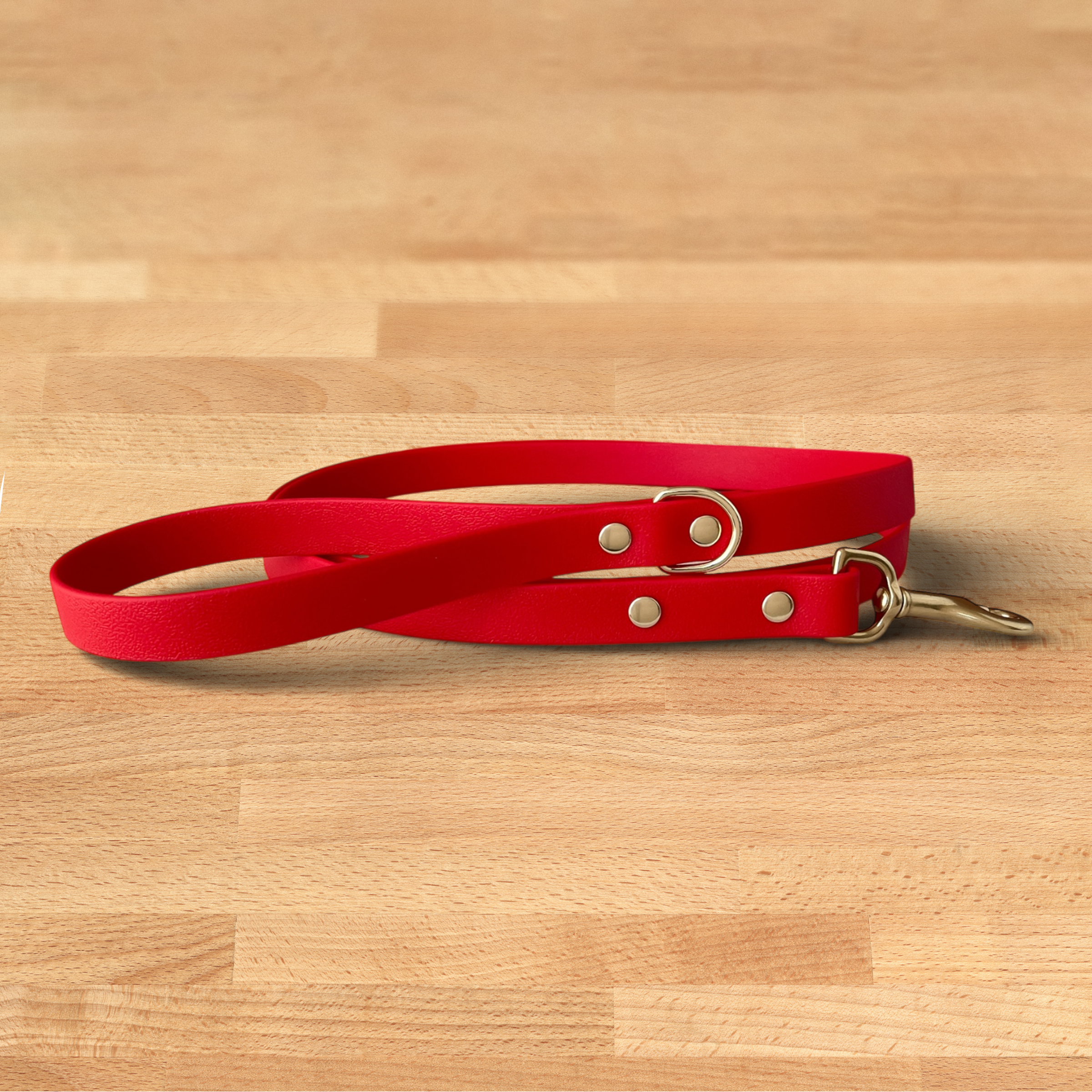 Foxmoth Biothane Waterproof Leash