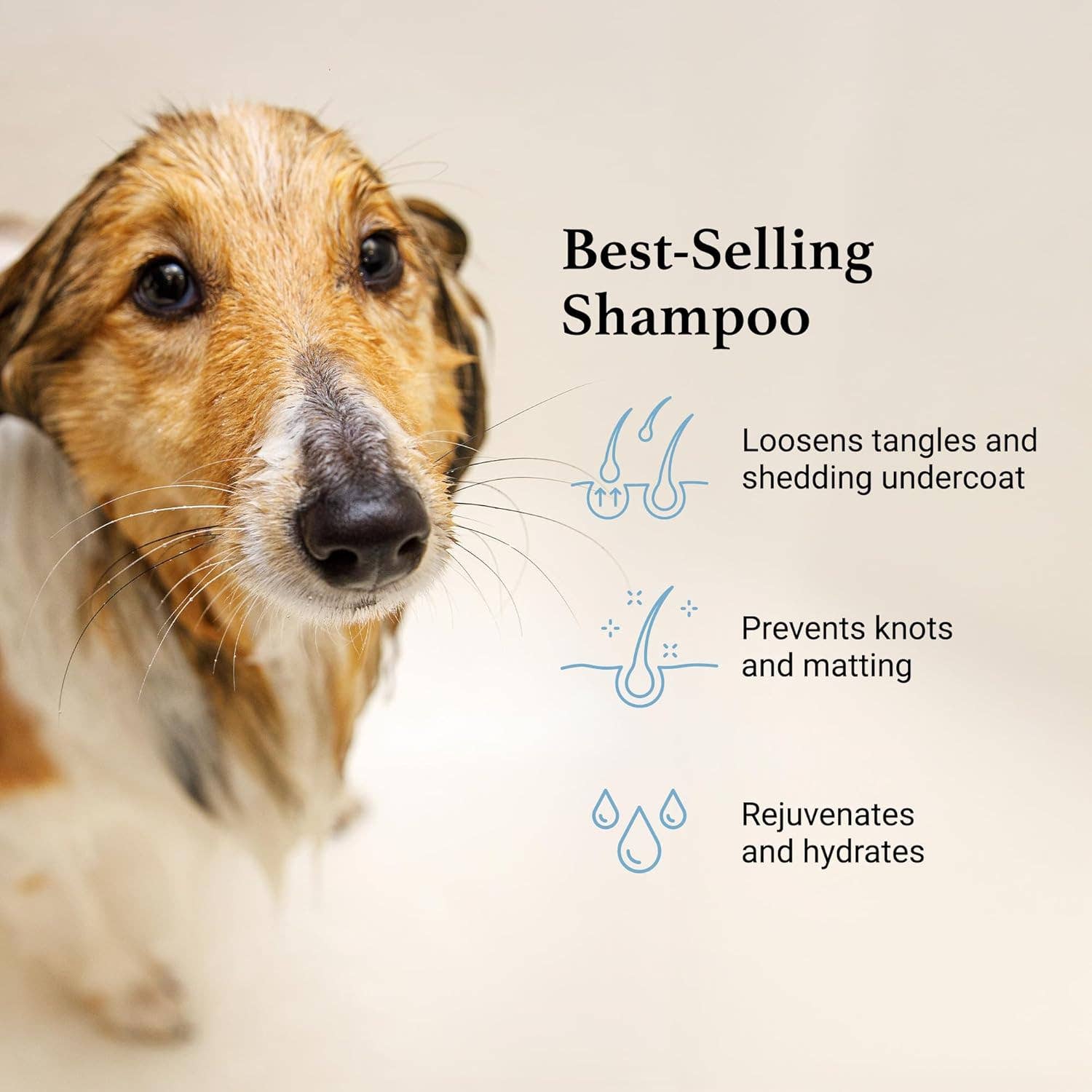 iGroom Deshedding & Detangling Shampoo 16oz