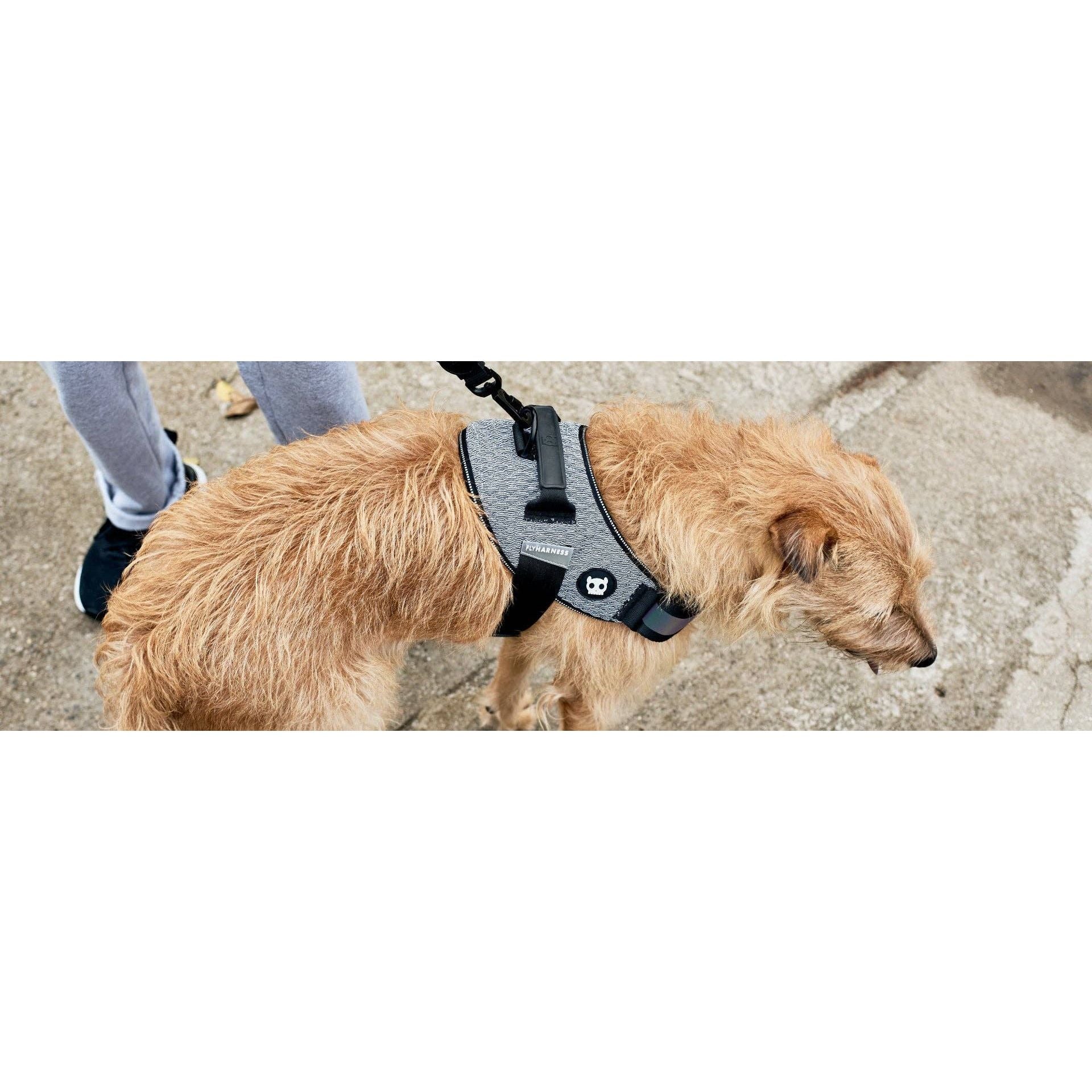 Zee.Dog FlyHarness - Urban
