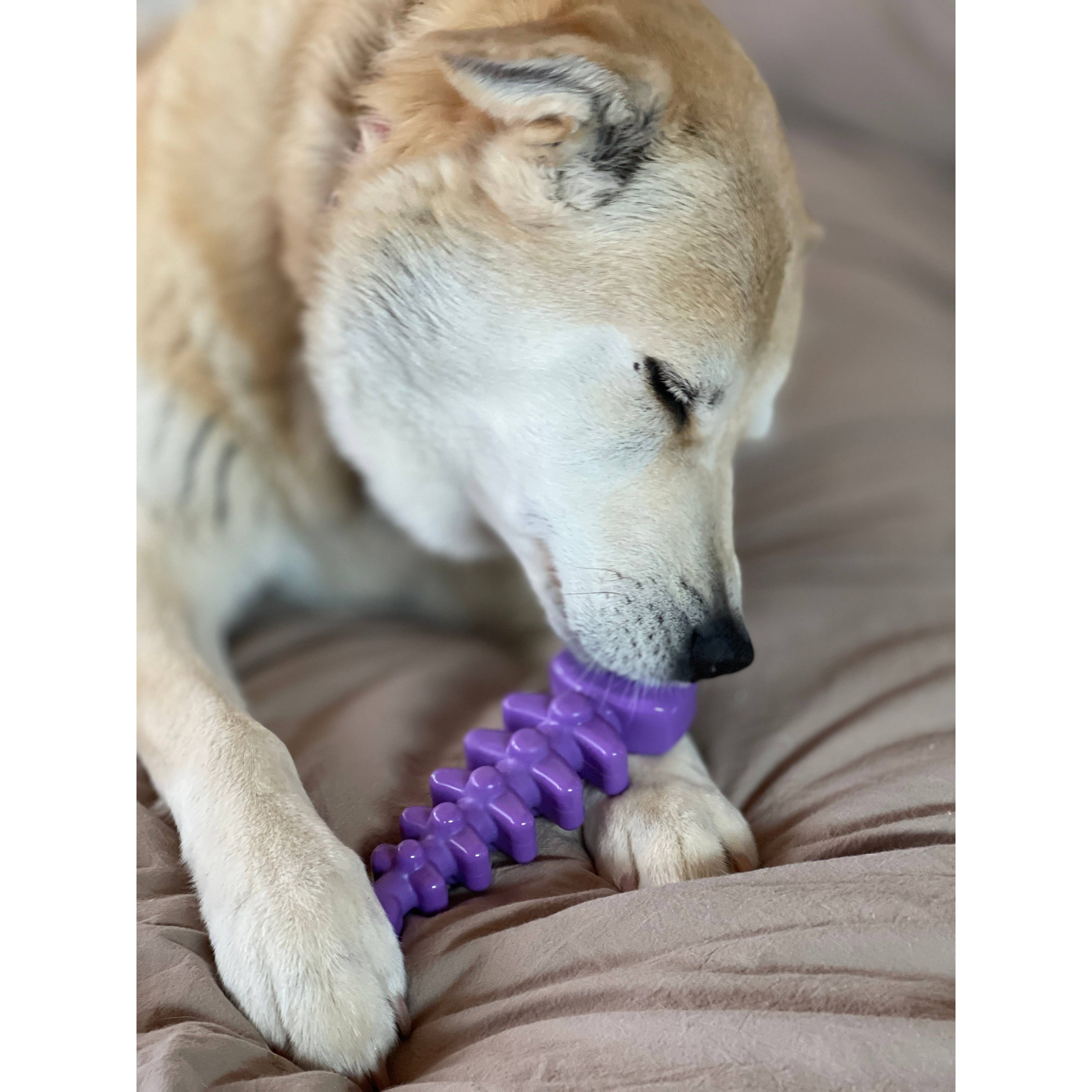 SodaPup Fish Bone Ultra Durable Nylon Chew Toy
