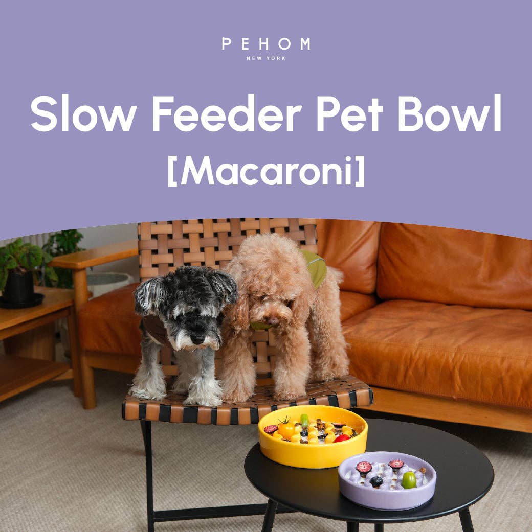 Pehom Macaroni Slow Feeder Dog Bowls - Purple