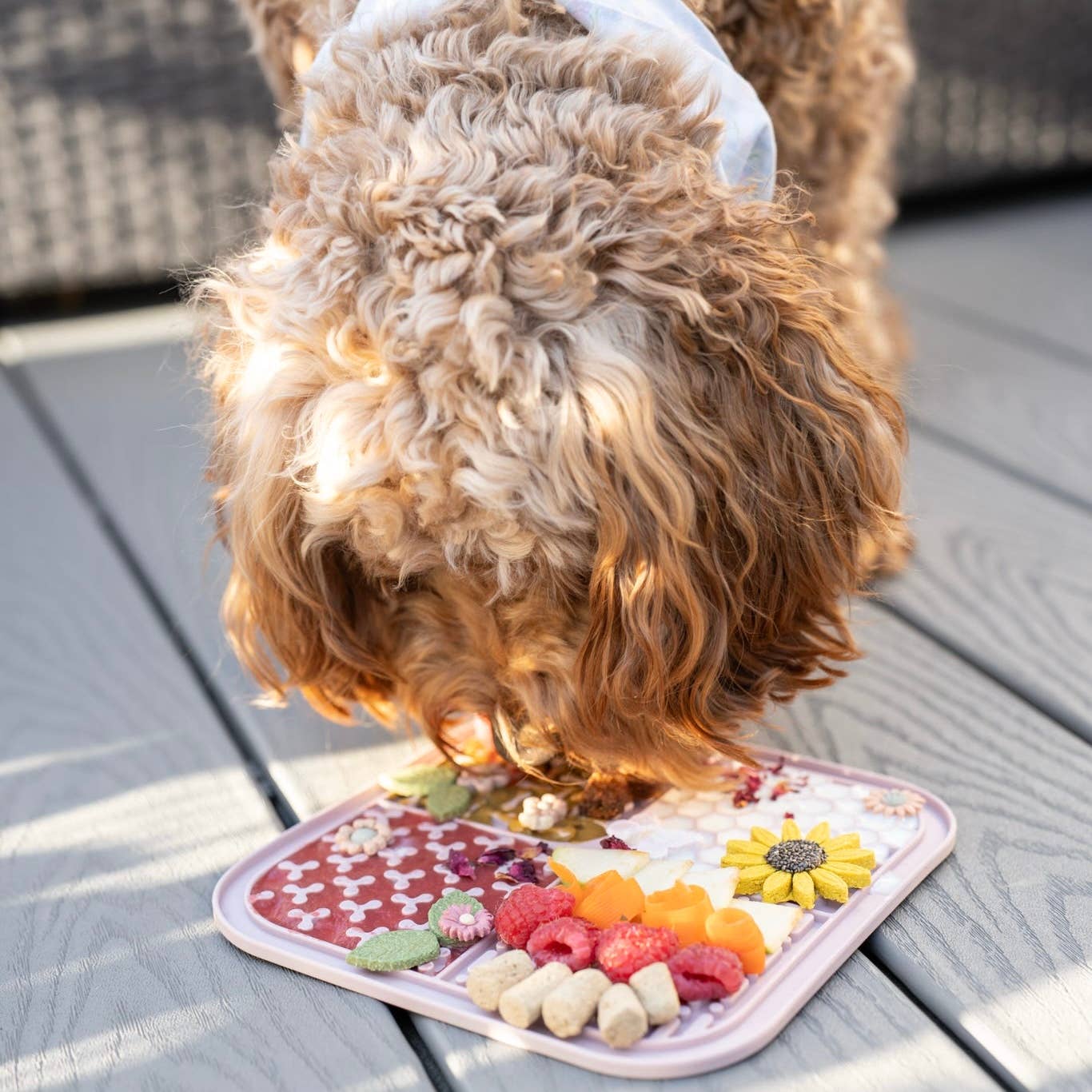 Pawsome Tails Square Lick Mat