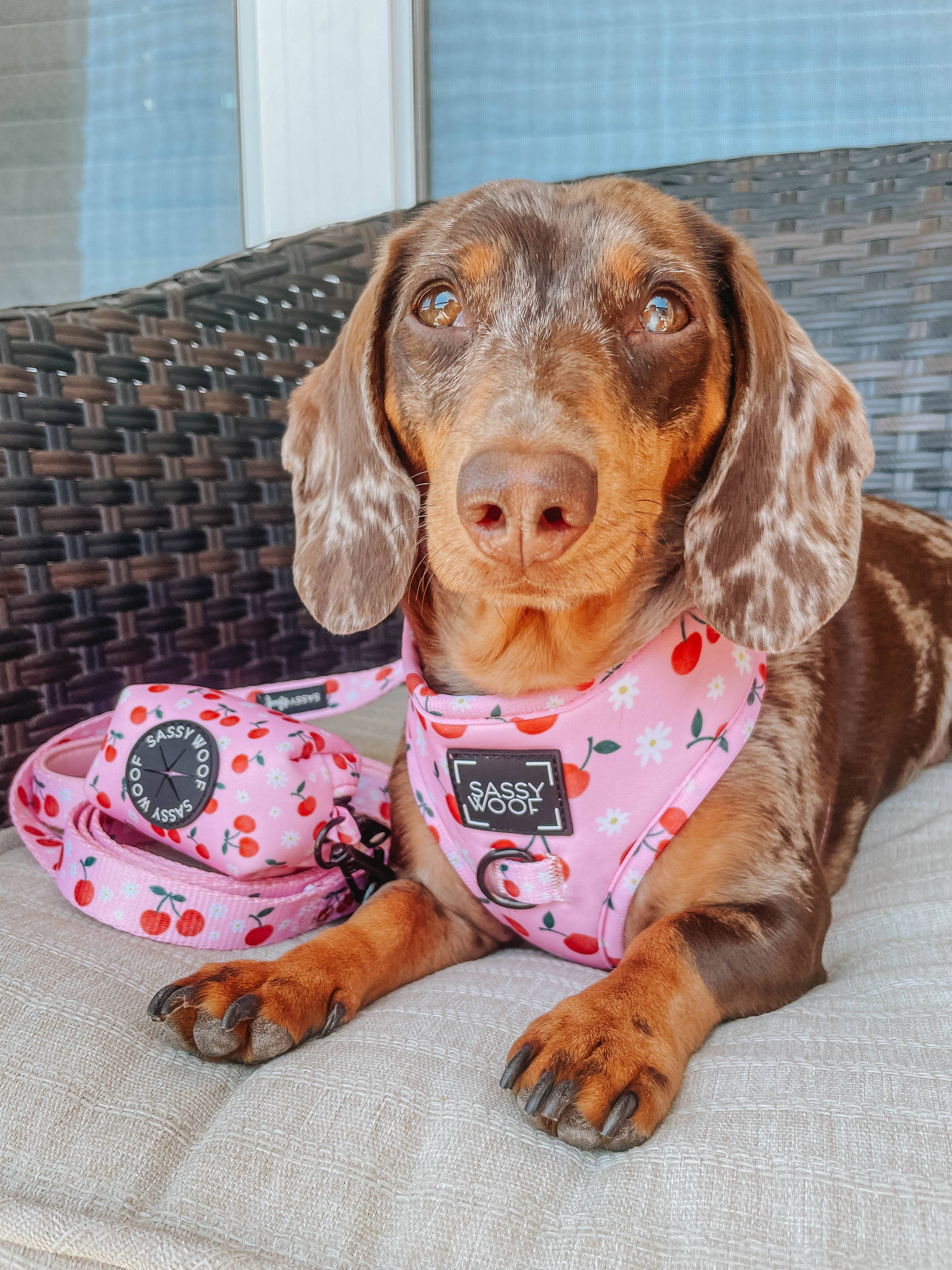 Sassy Woof Waste Bag Holder - Mon Chérry