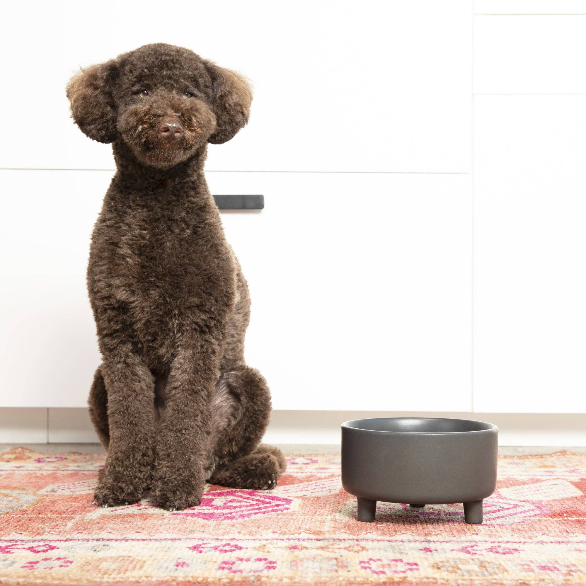 Waggo Uplift Bowl Ceramic Dog Bowl