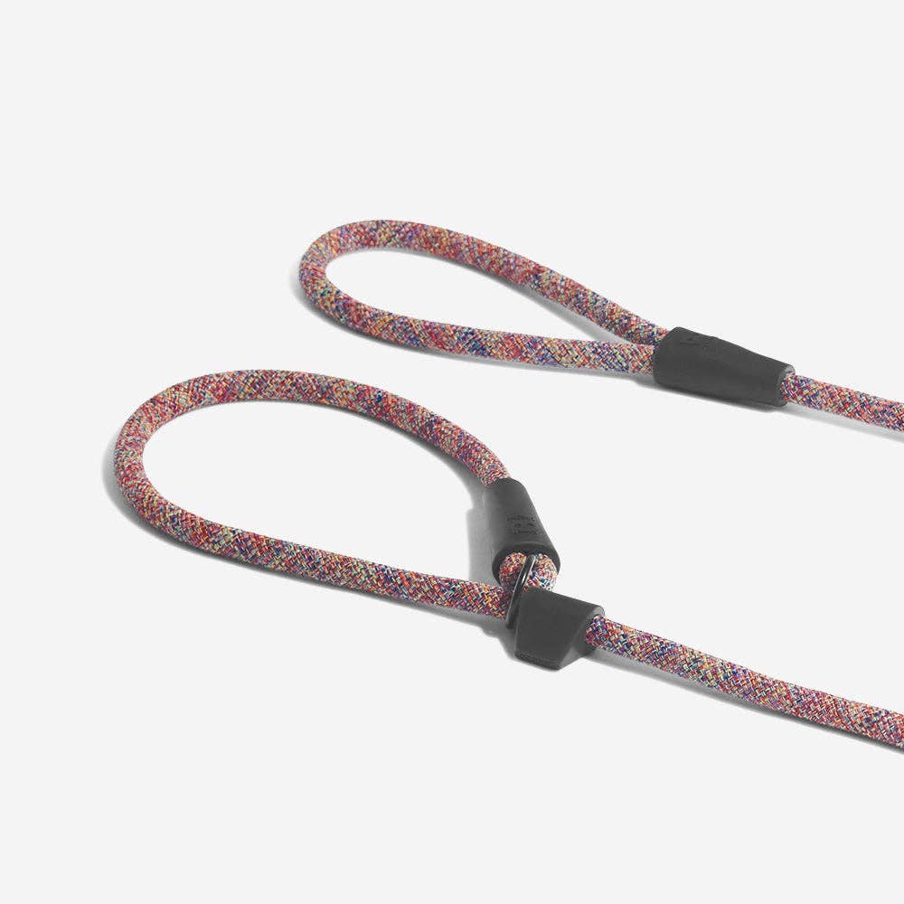 Zee.Dog Slip-on Leash - Vortex