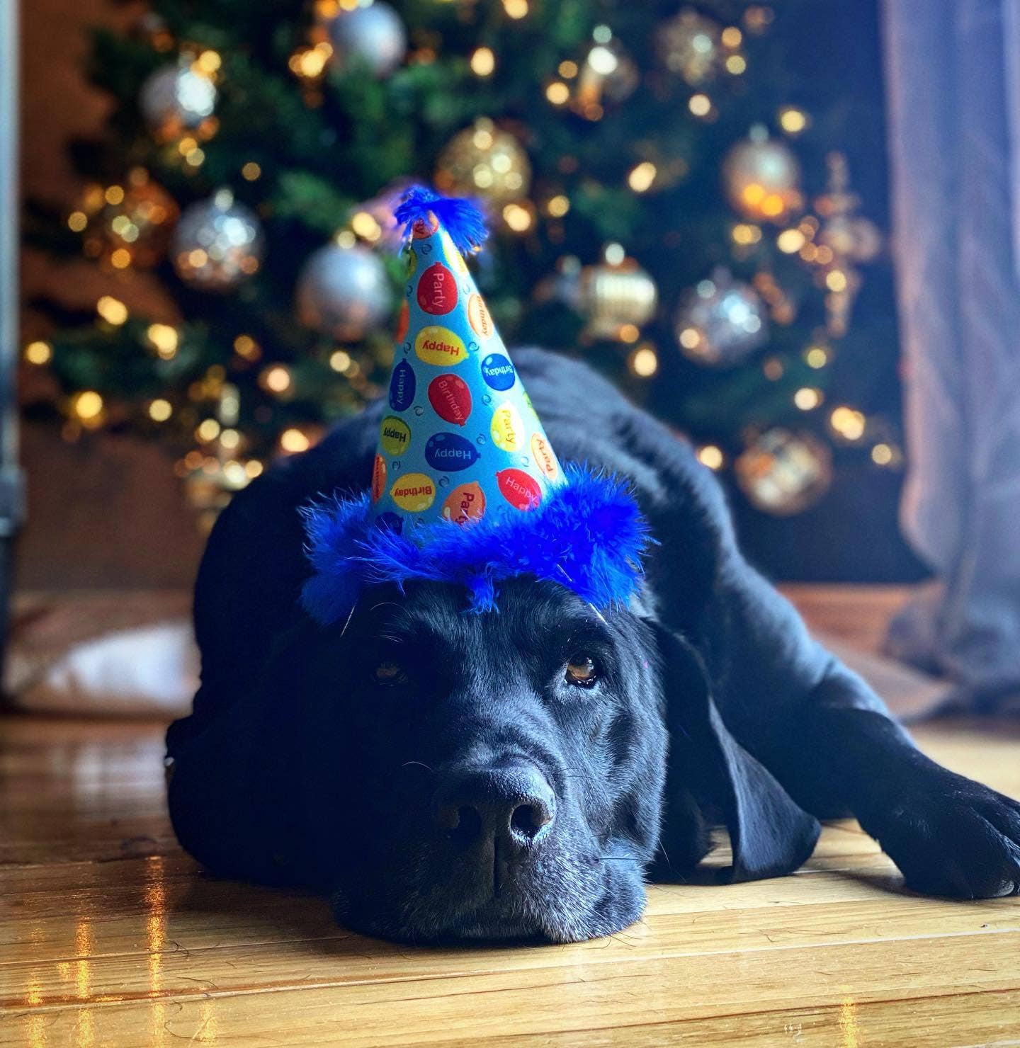 Party Time Blue Party Hat with SnugFit®