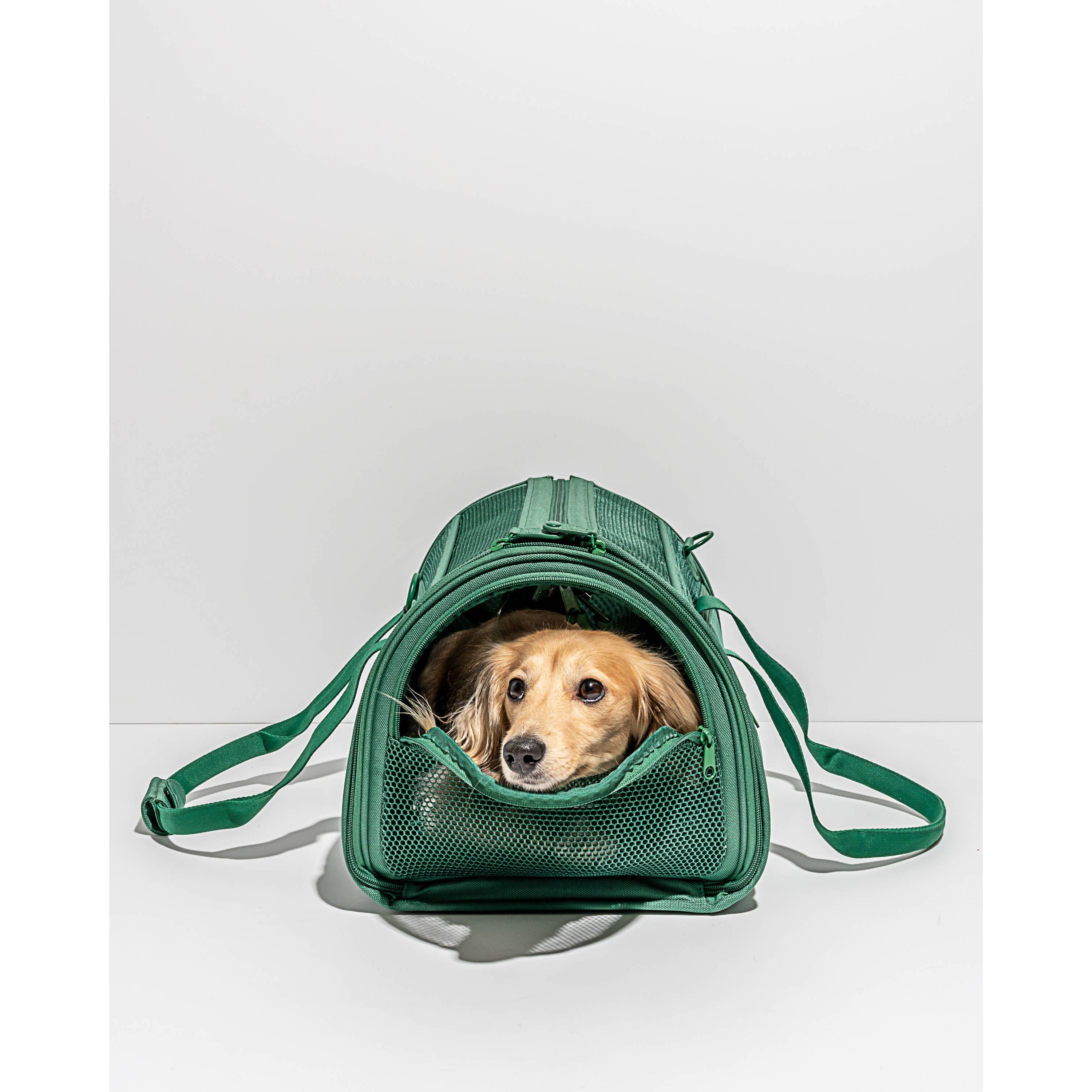 Wild One Travel TSA Compliant Pet Dog Carrier