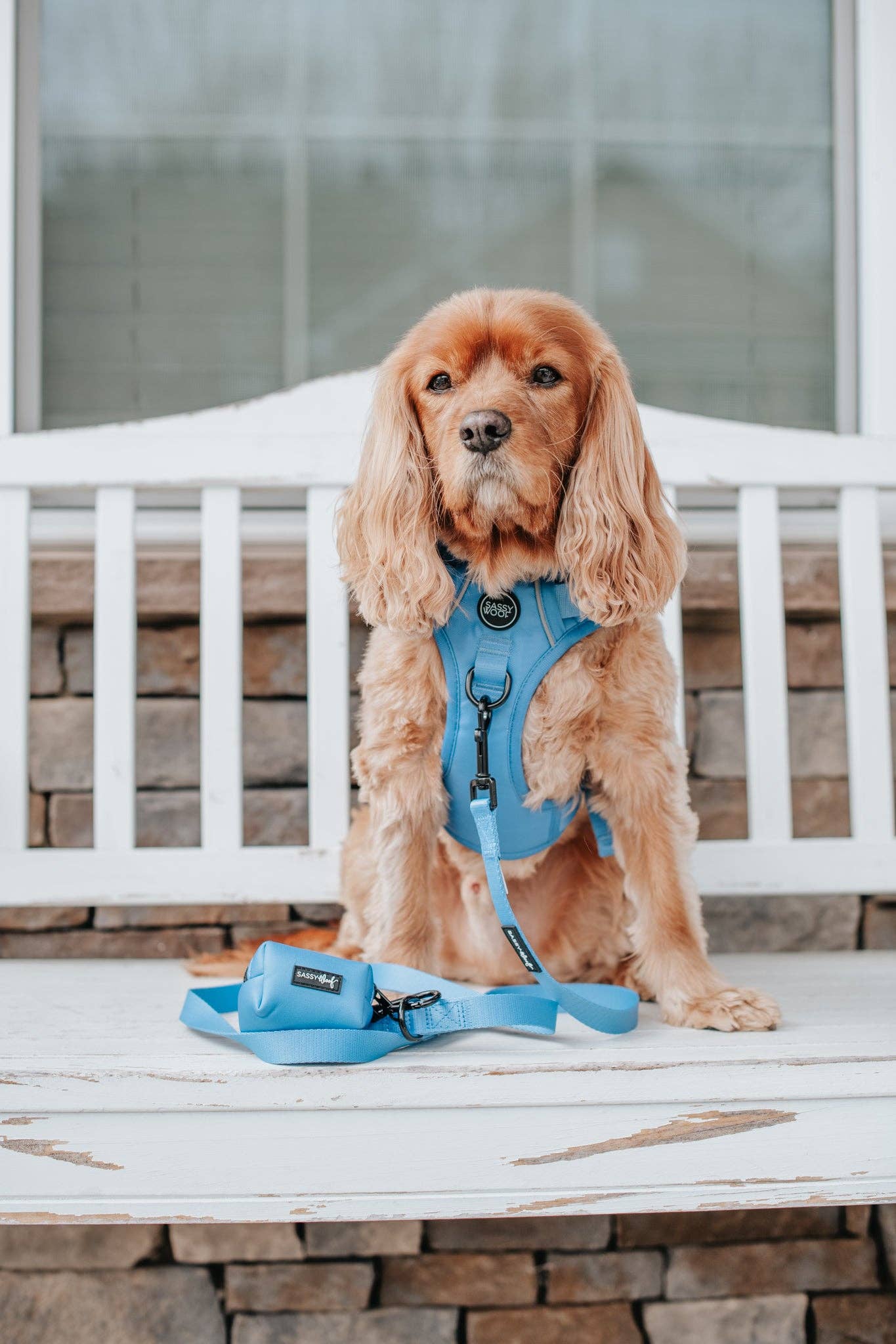 Sassy Woof Dog Leash - Hydrangea