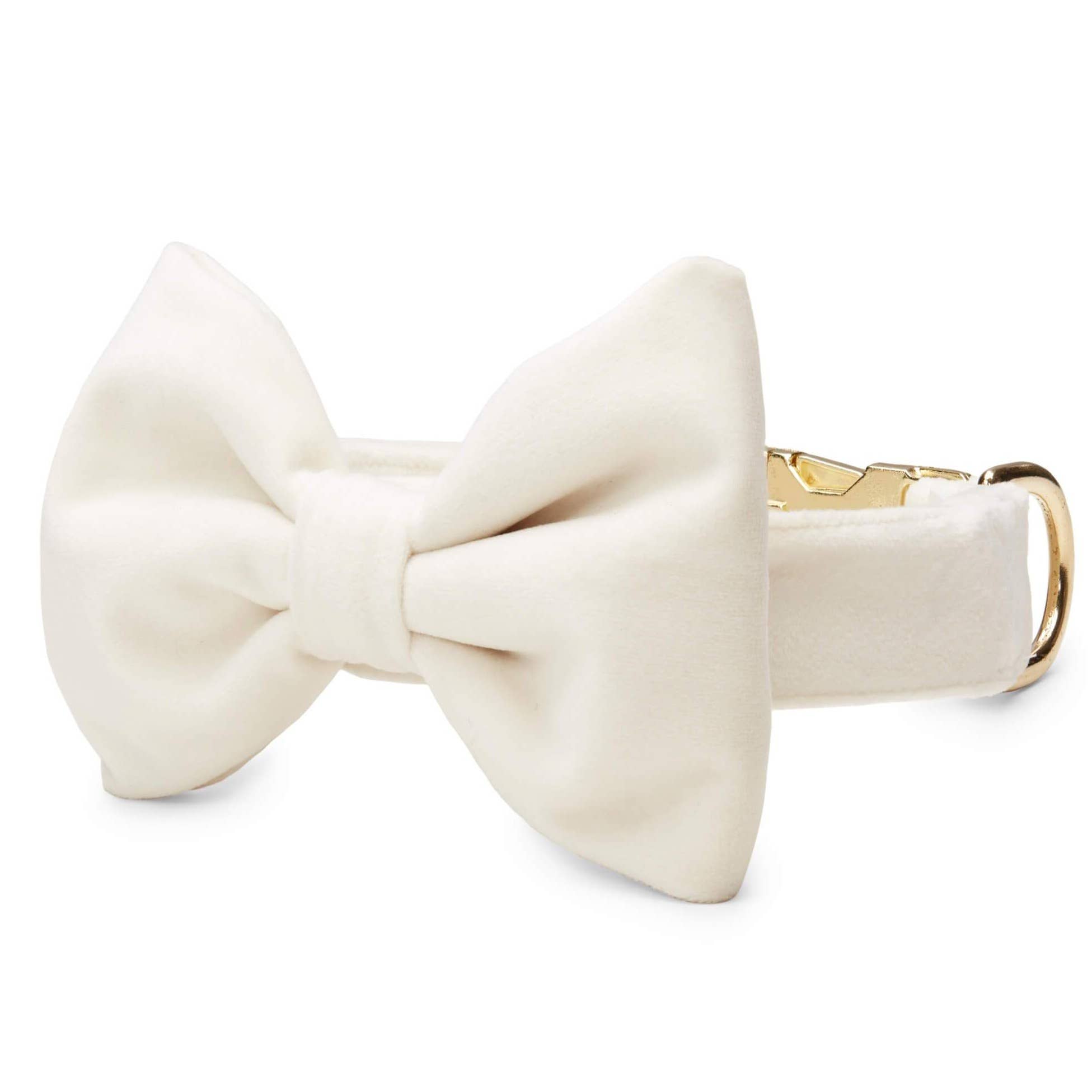 The Foggy Dog Ivory Velvet Dog Bow Tie