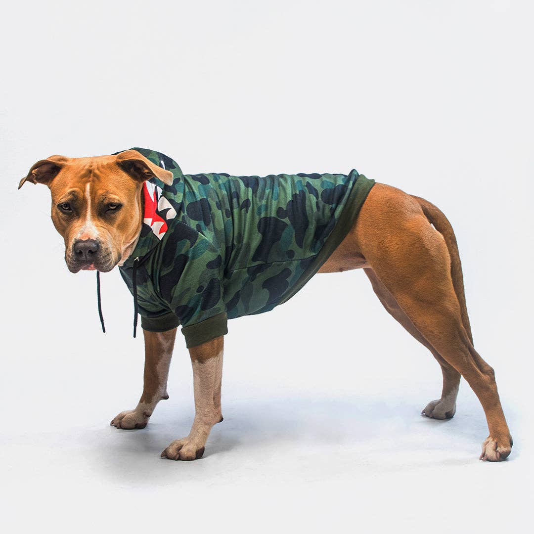 SparkPaws Shark Monster Dog Hoodie - Green Camo