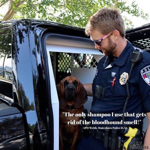 Fox+ Hound Dog Shampoo + Conditioner Argan & Amber