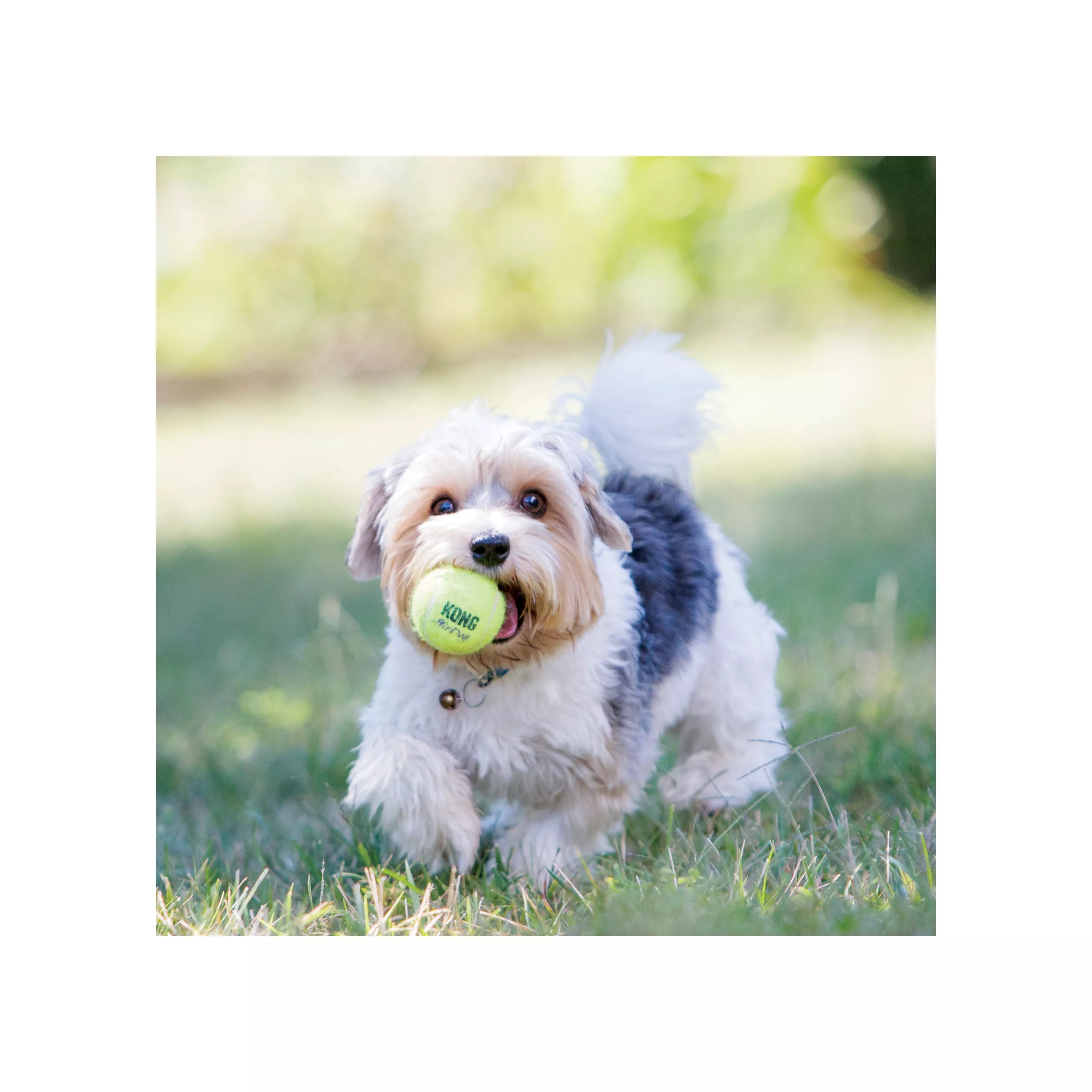 KONG AIR SQUEAKER BALL 3pk