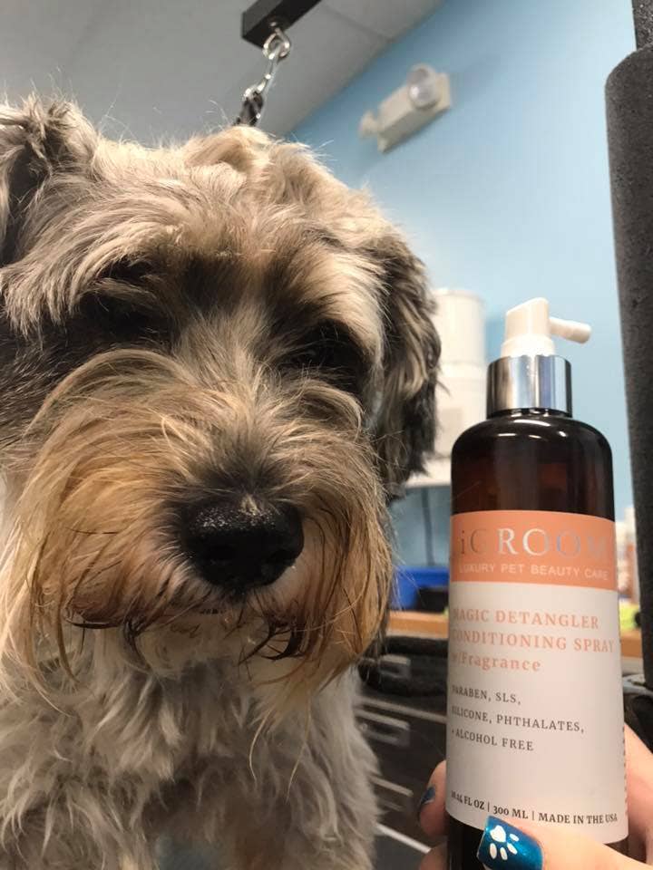 iGroom Magic Detangler Conditioning Spray 8oz