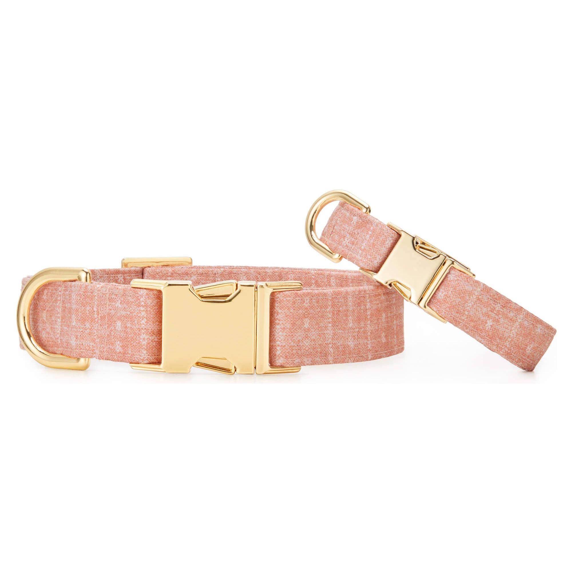 The Foggy Dog Petra Dog Collar