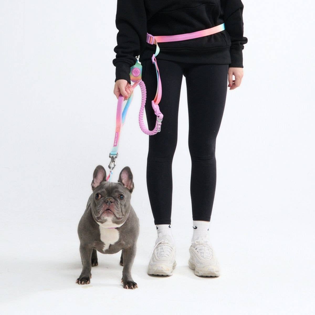 Spark Paws Multipurpose Seatbelt Handsfree Leash & Poop Bag Holder Set - Pastel Icing