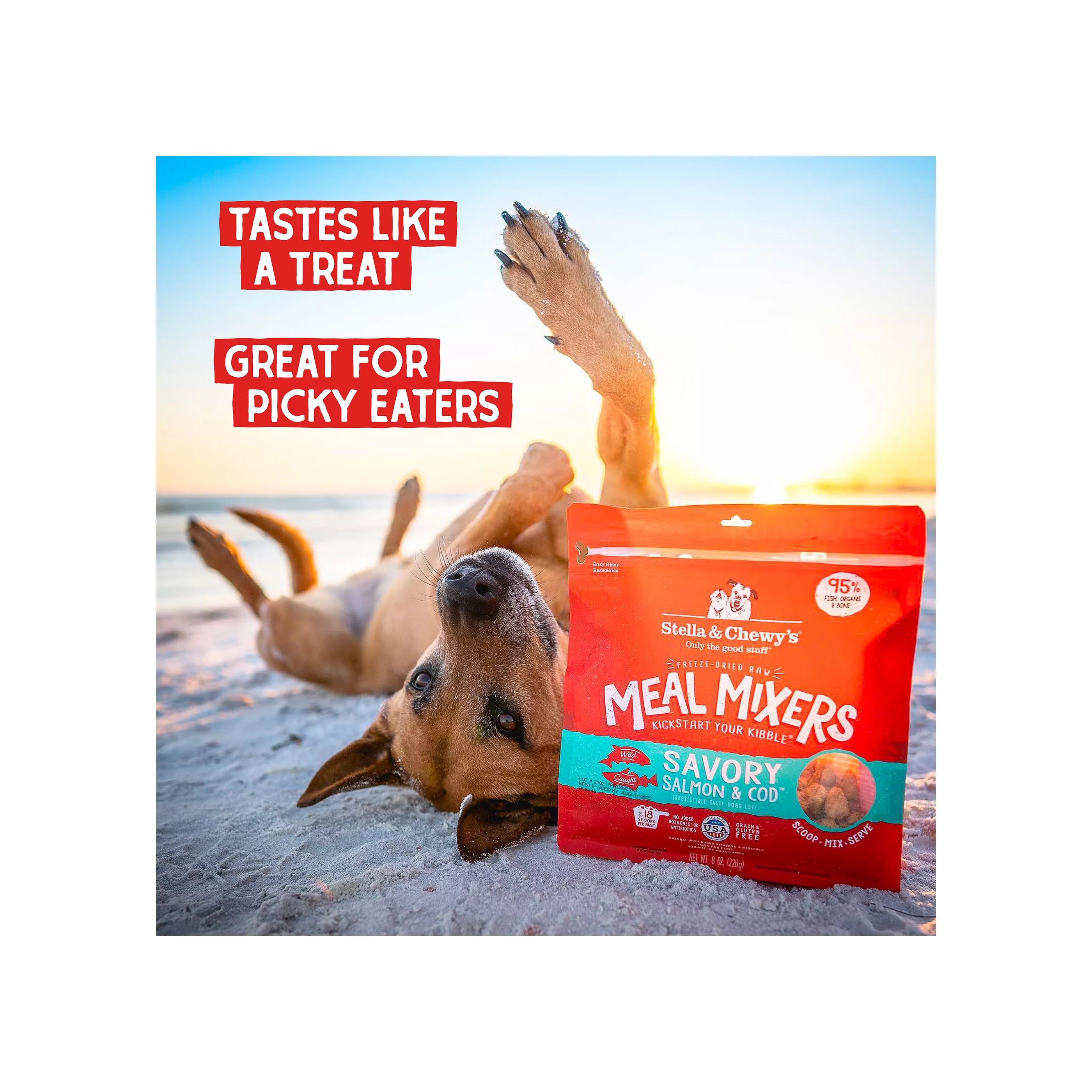 Stella & Chewy's Dog Meal Mixer Salmon & Cod FD