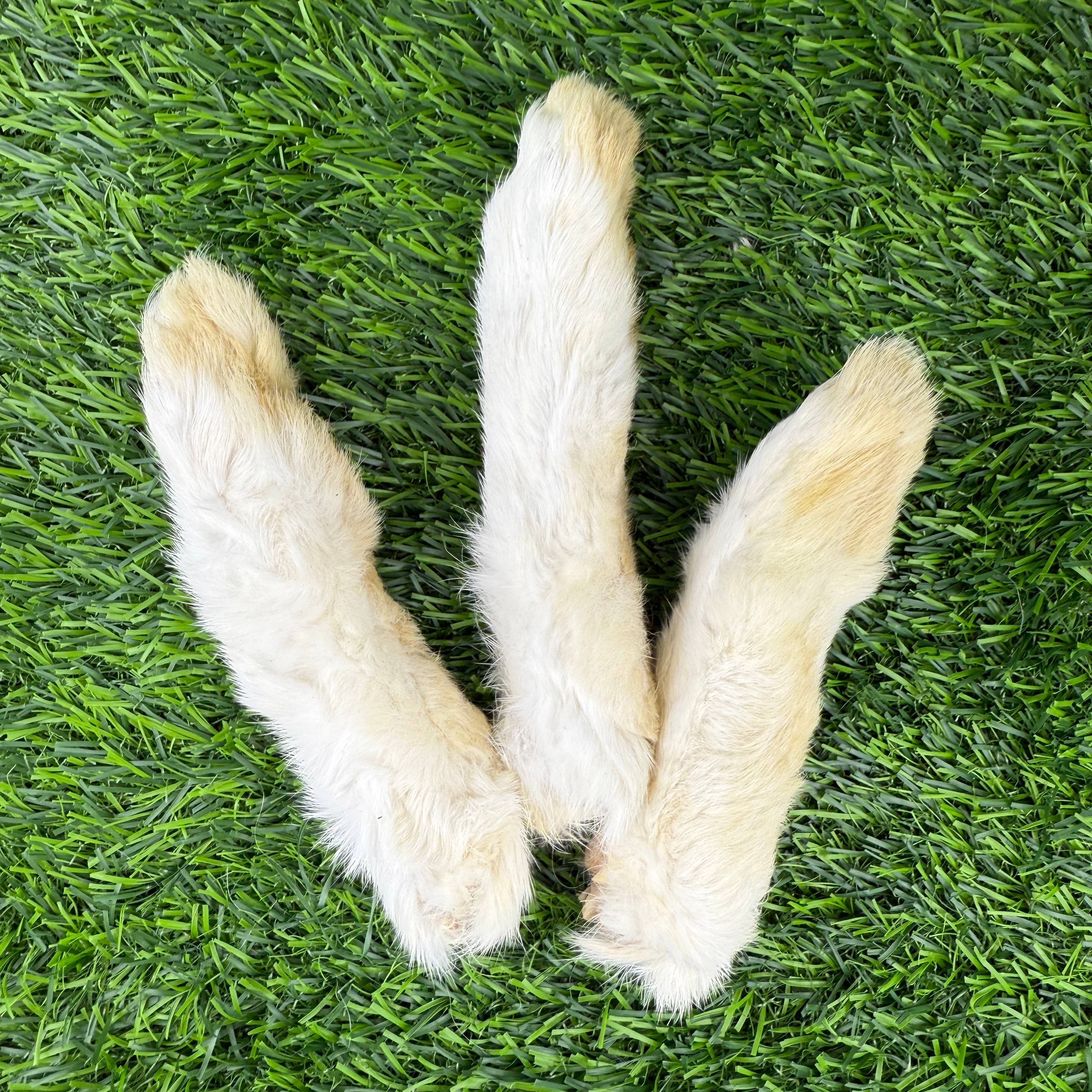 Golden Nibbles Rabbit Feet - Bag of 6