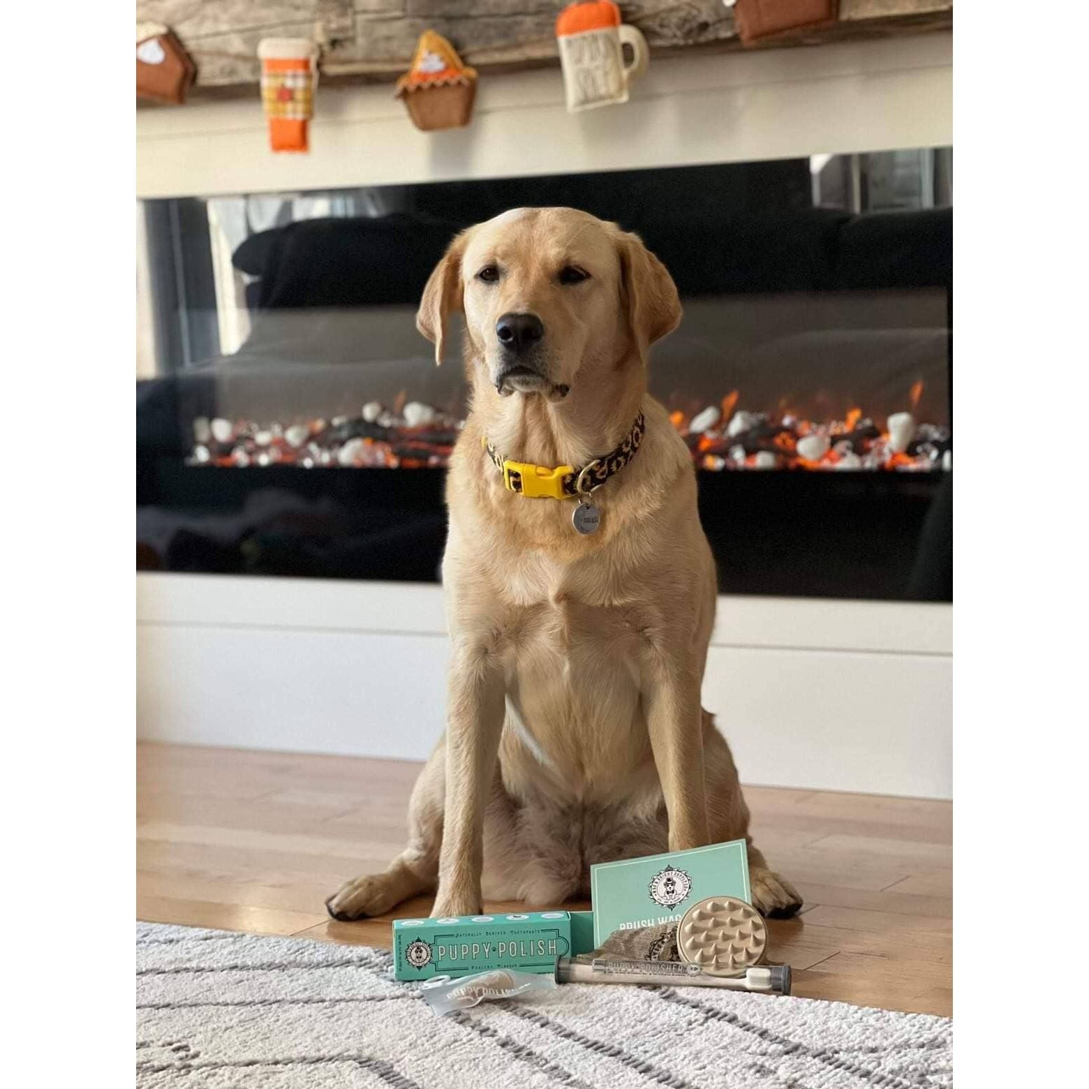 Wag & Bright Puppy Polisher Finger Brush