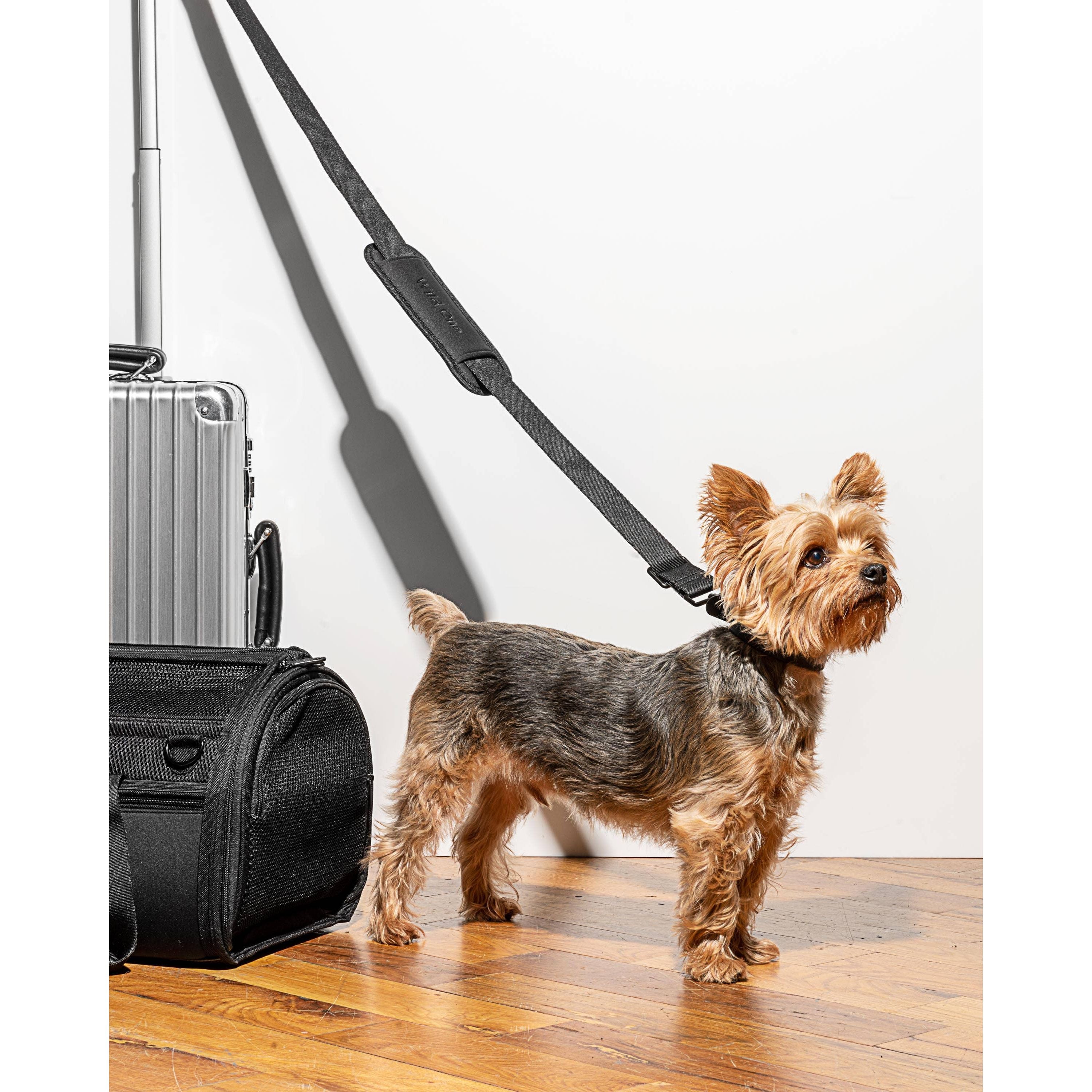 Wild One Travel TSA Compliant Pet Dog Carrier