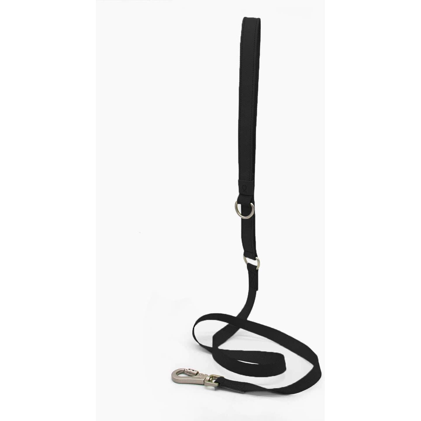 Qisu Dog Leash | Air Collection