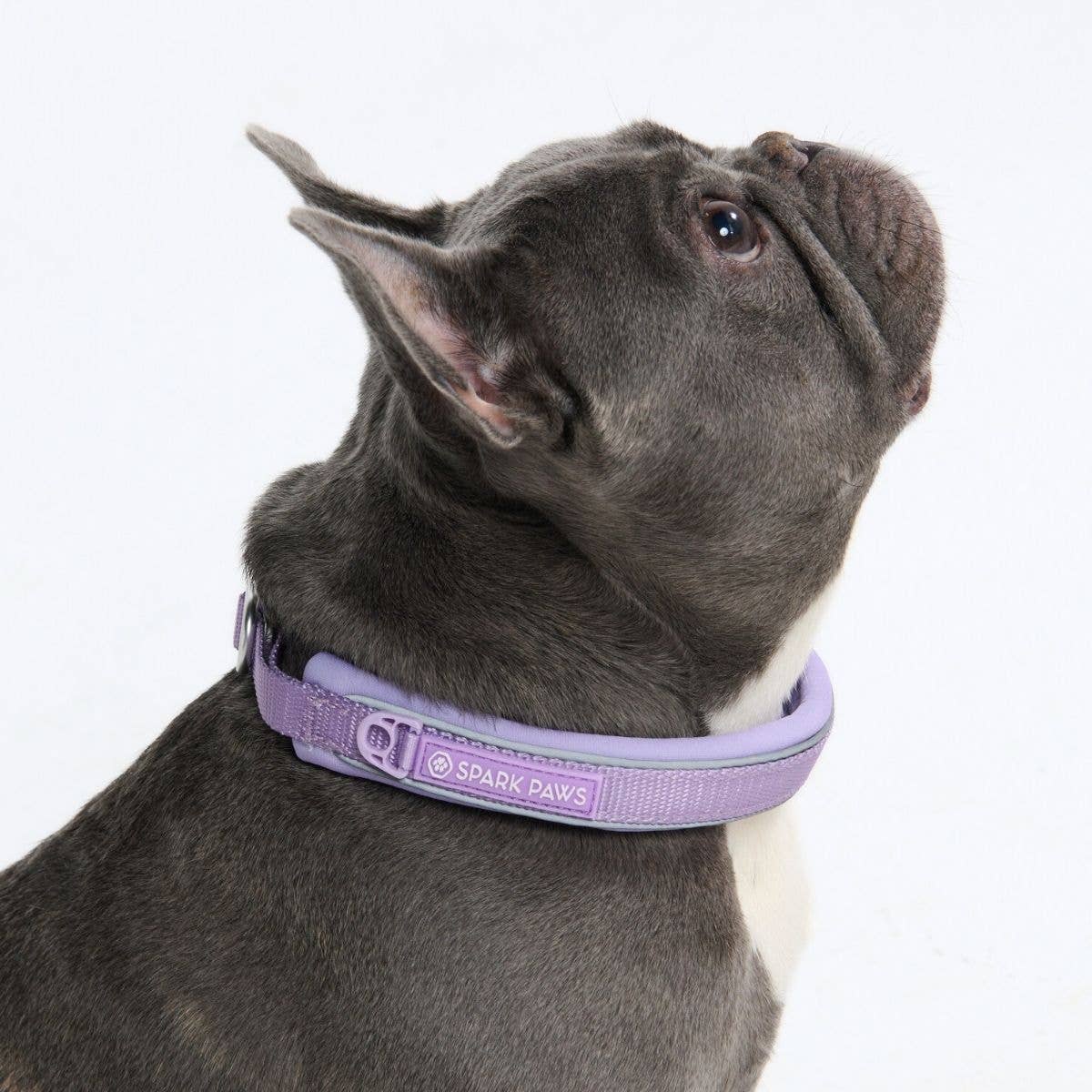 Spark Paws Martingale Collar - Lilac
