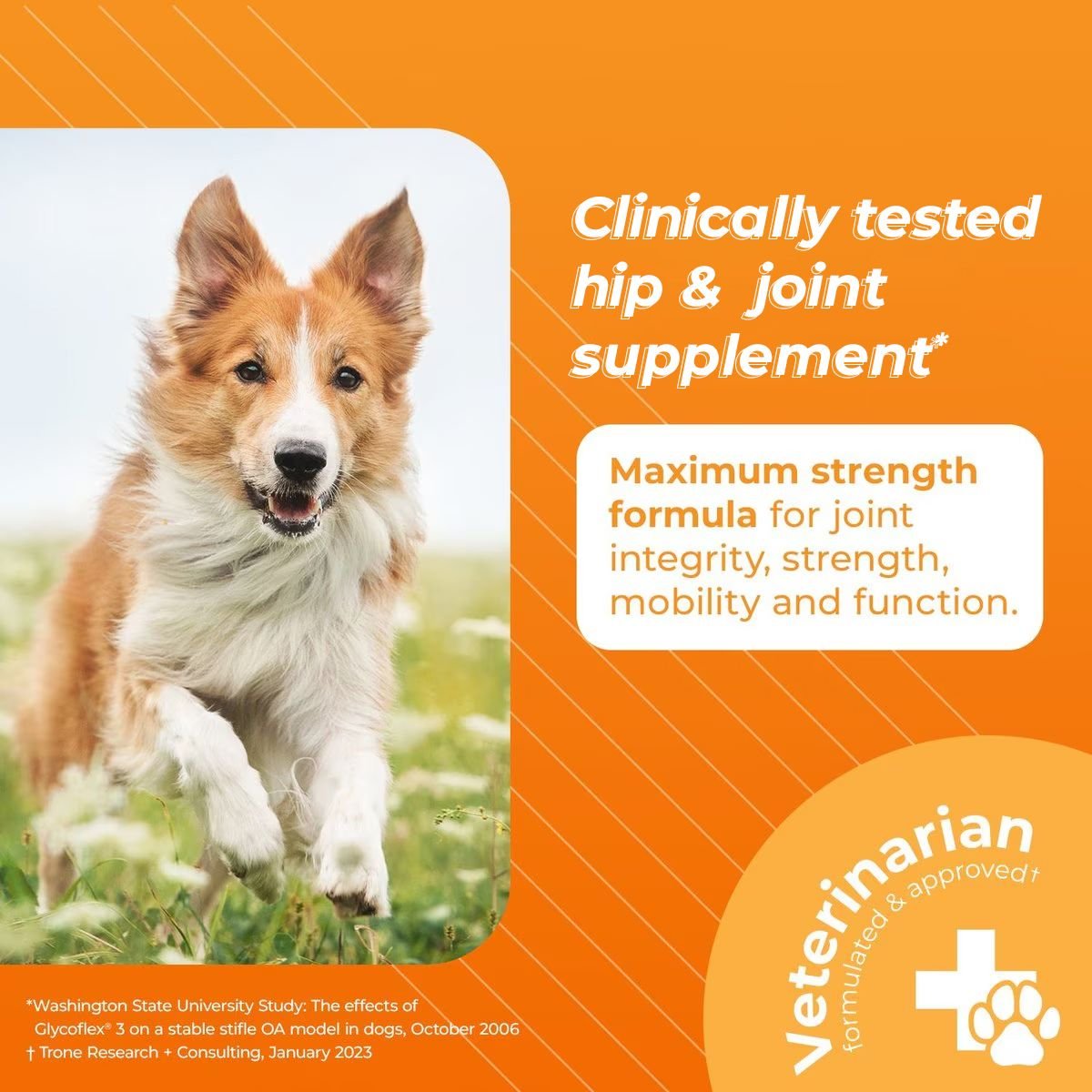 Vetriscience glycoflex plus dog 60ct