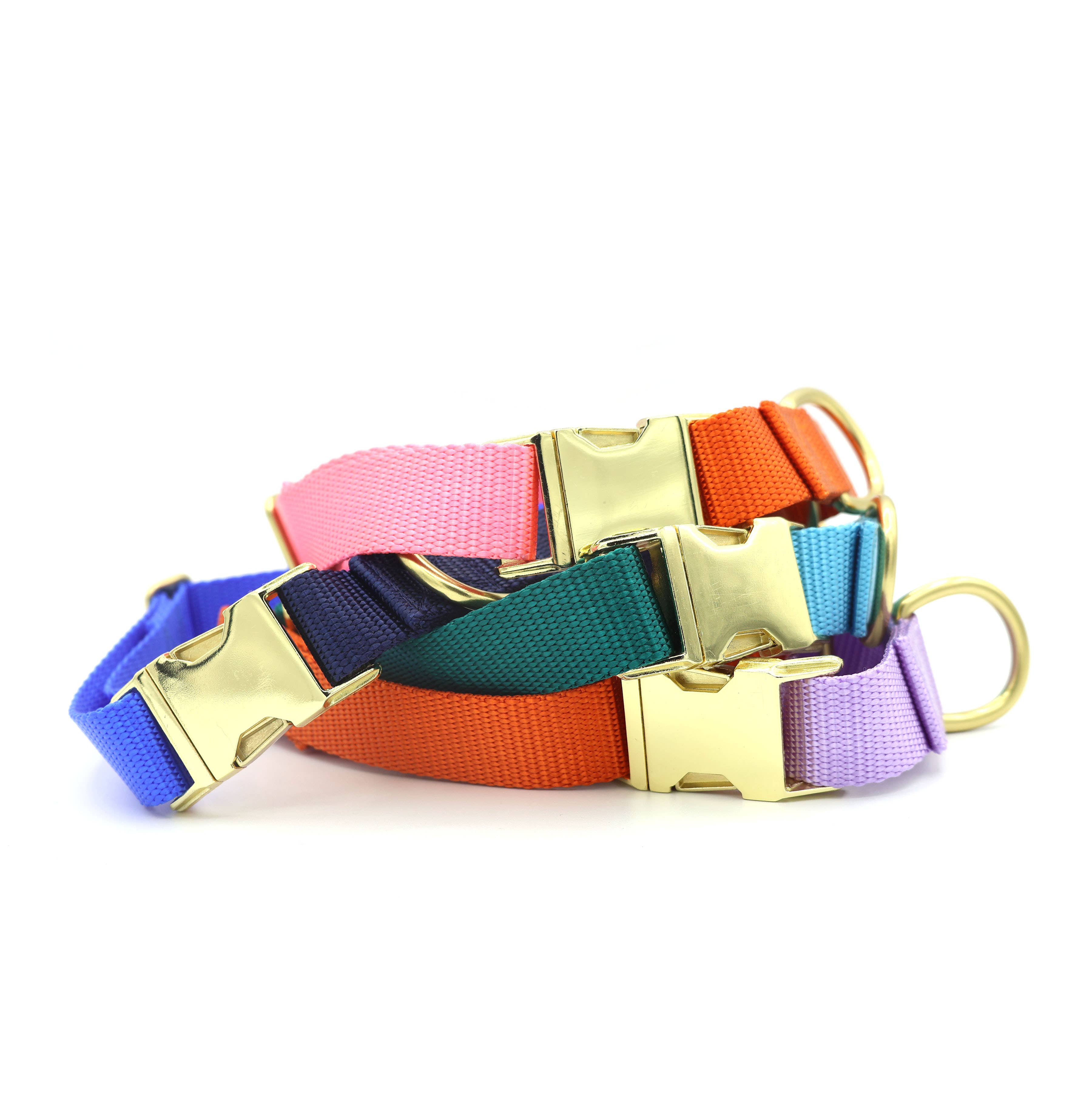 Major Darling Quick-release Martingale Collar / Brass Snap