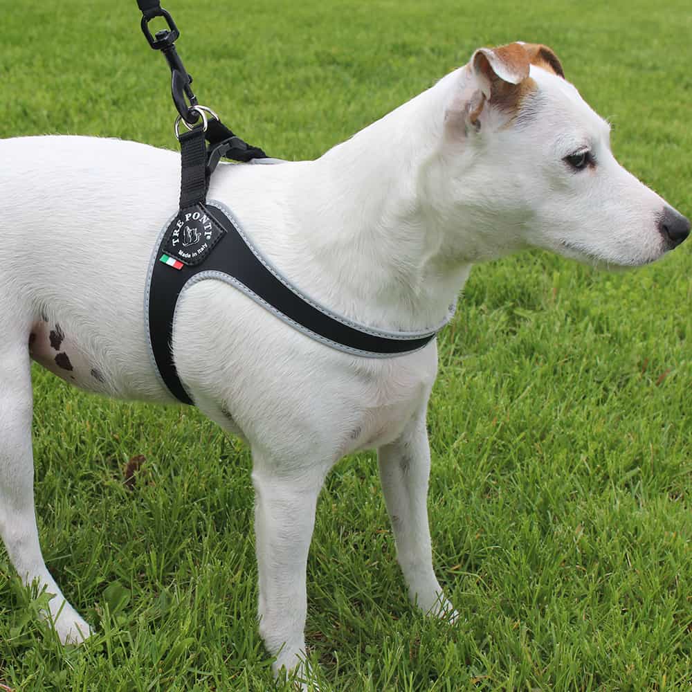 Tre Ponti Non-Adjustable Harness Black