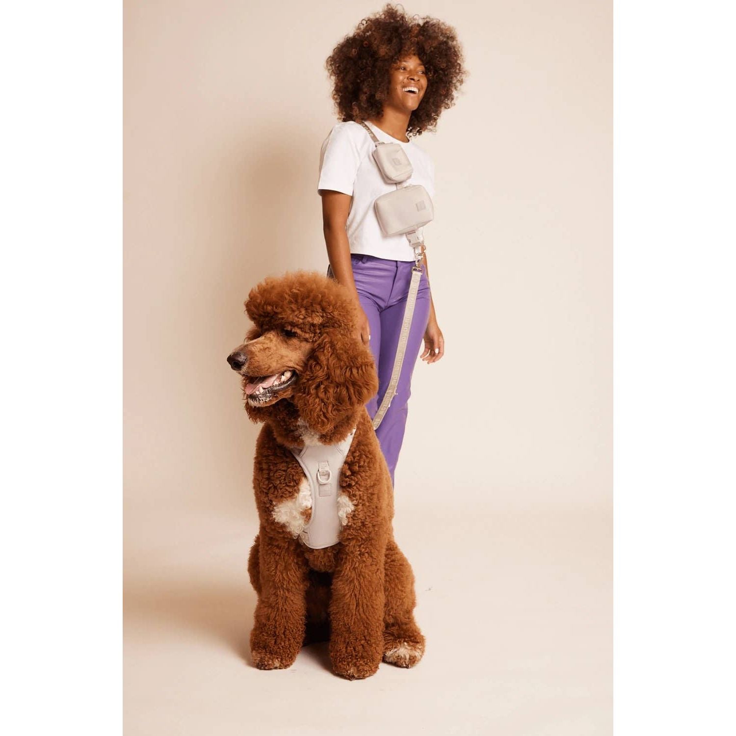 Maxbone Go With Ease! Hands Free Dog Leash