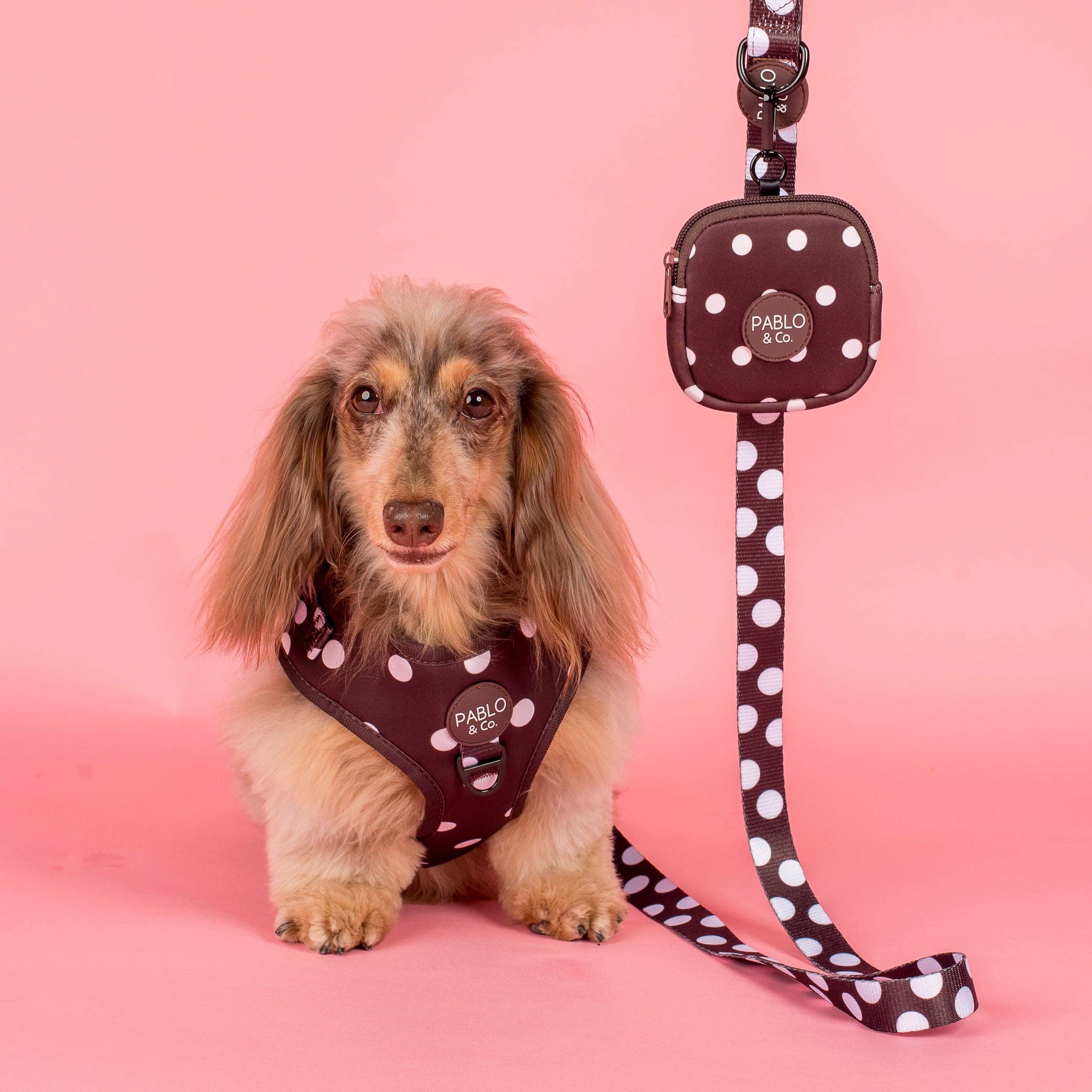 Pablo & Co Treat Pouch - Polka Dots