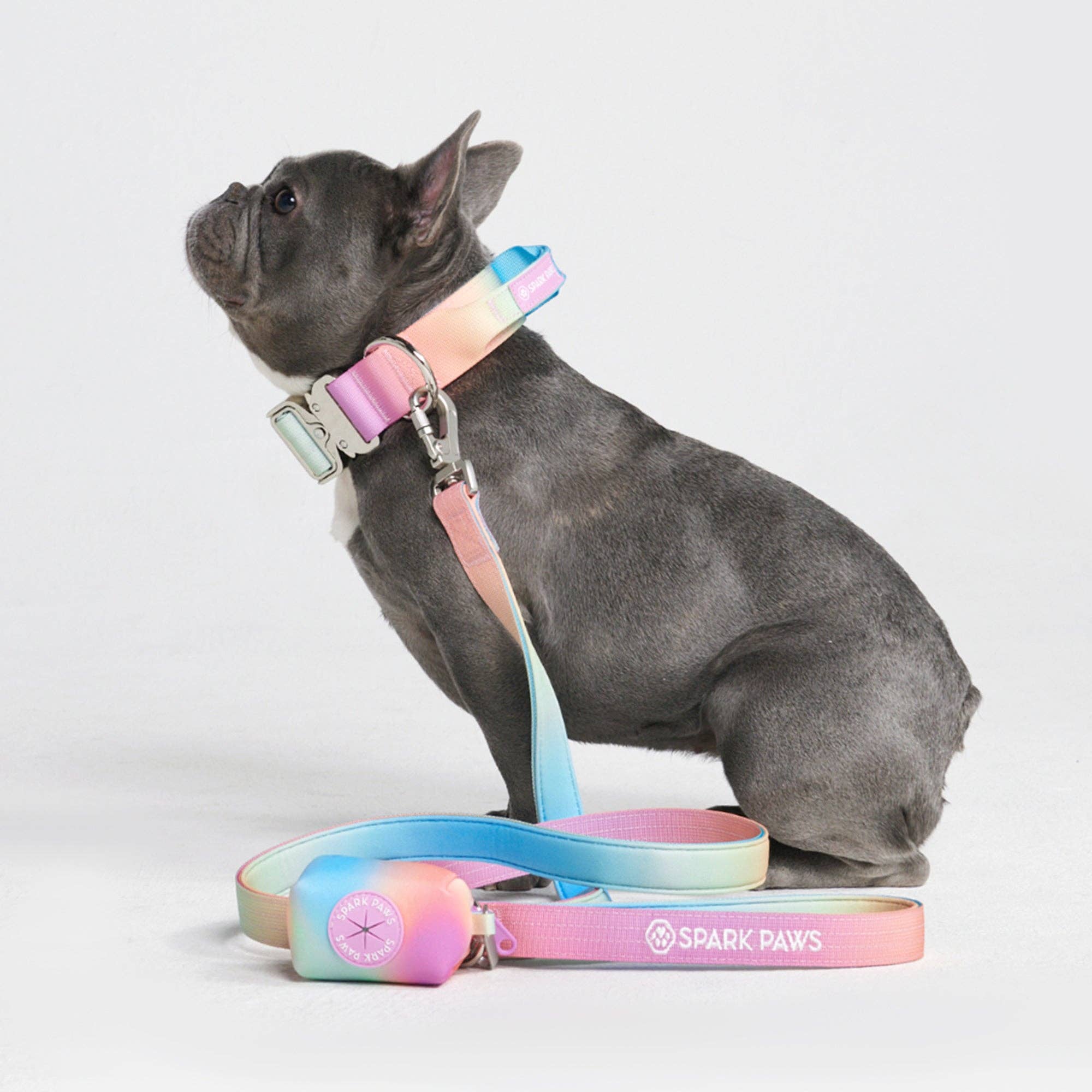 SparkPaws Comfort Control Dog Leash - Pastel Icing