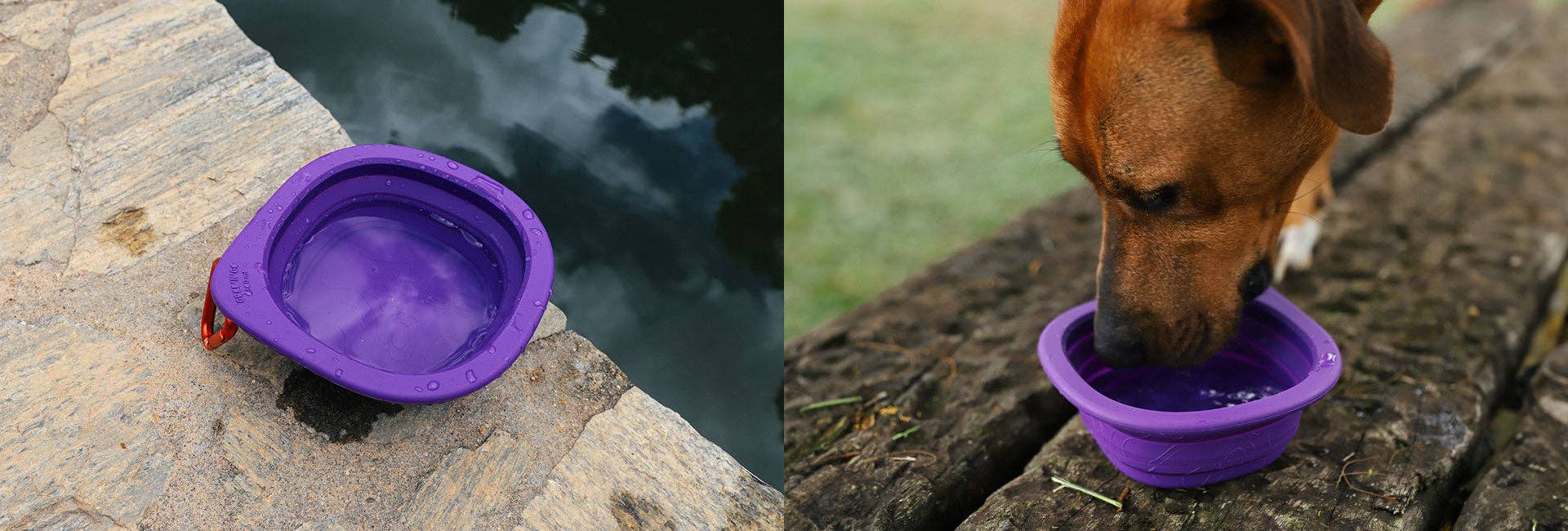 Zee.Dog Go Bowl - Peak