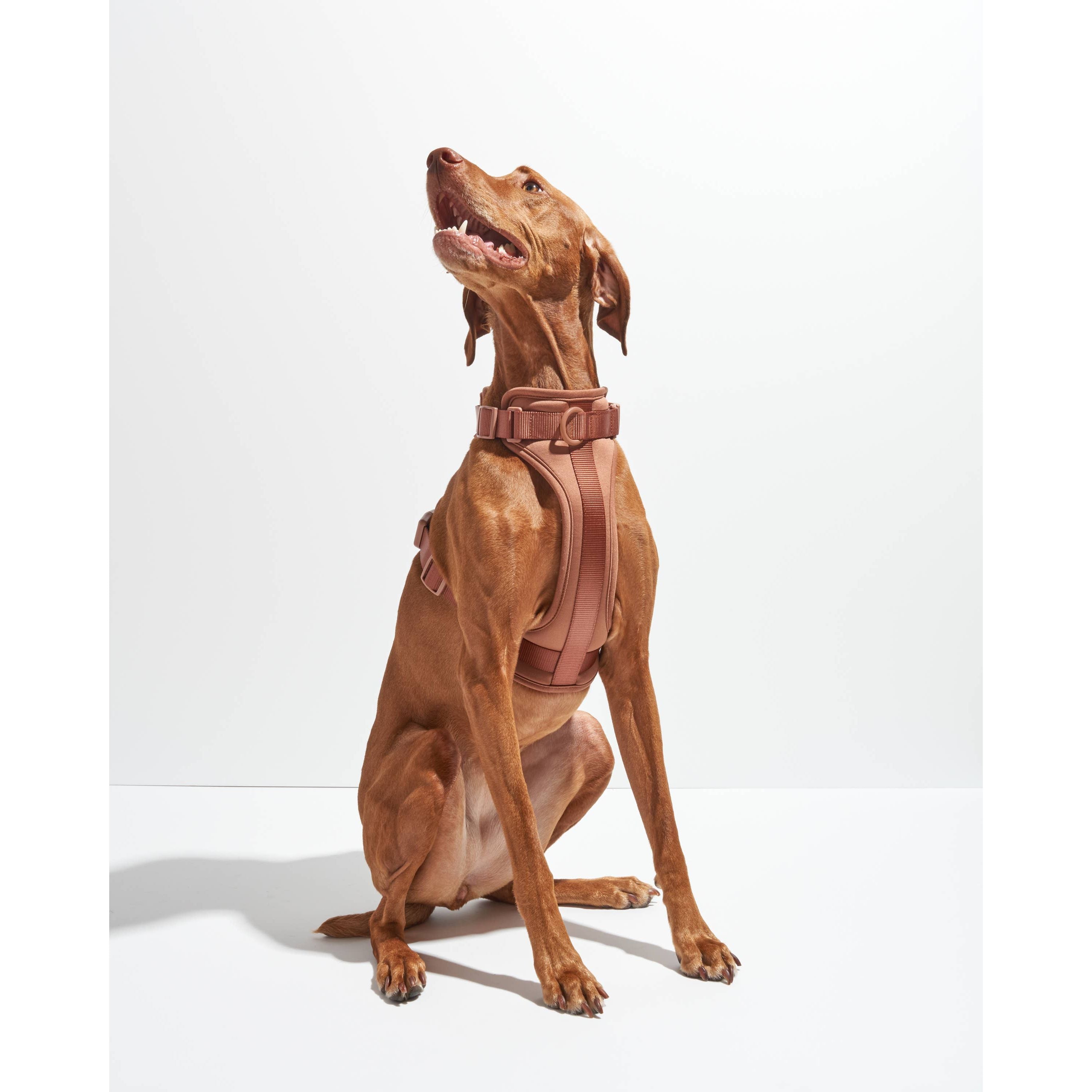 Wild One Adjustable Comfort Dog Harness