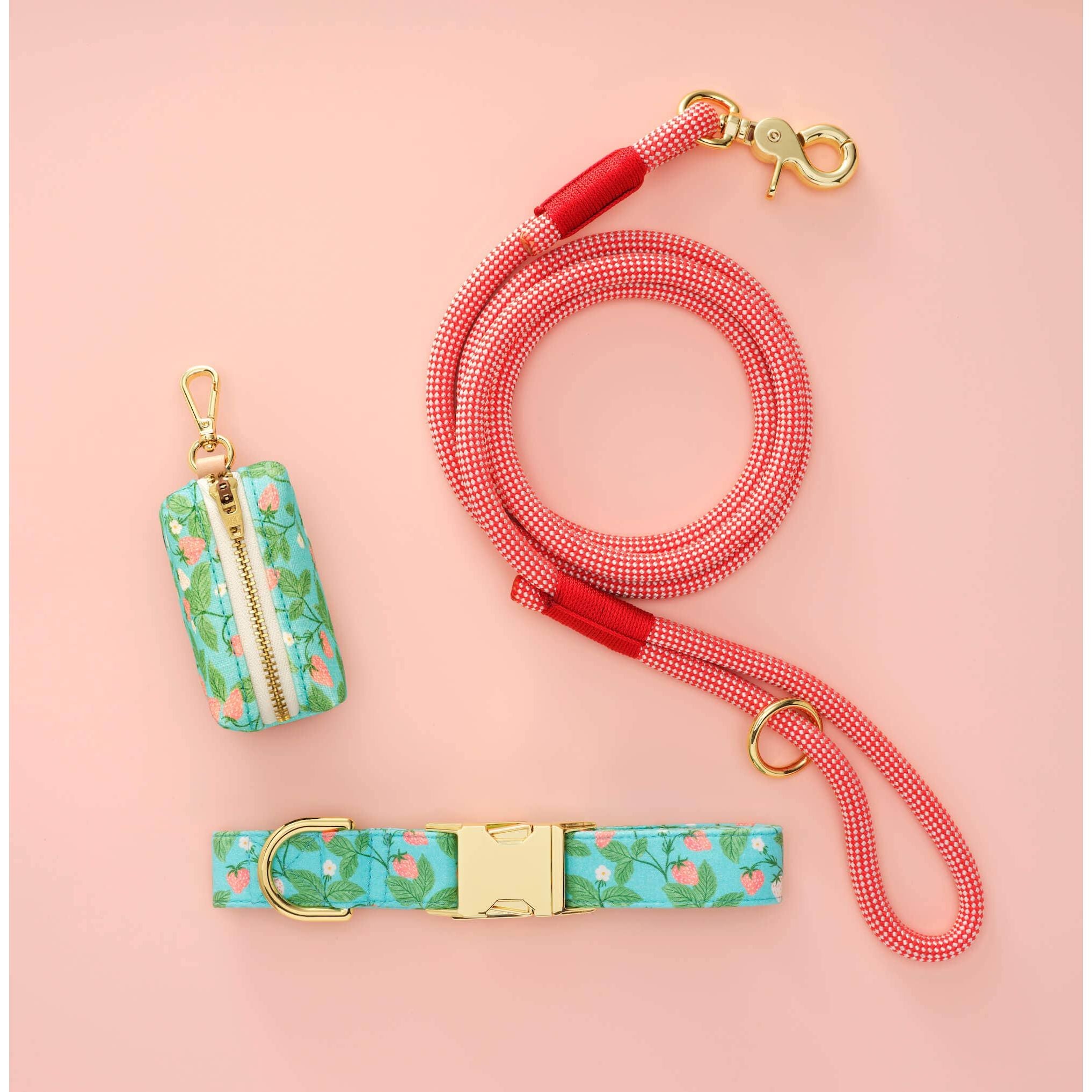 The Foggy Dog Strawberry Climbing Rope Leash