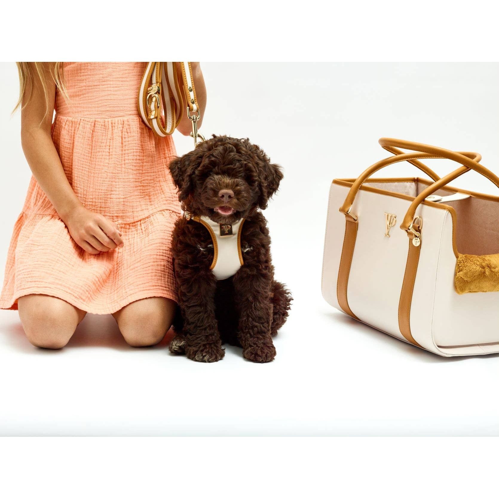 The V.I.PUP Collection Denim Victorian 88 & Gold Harness