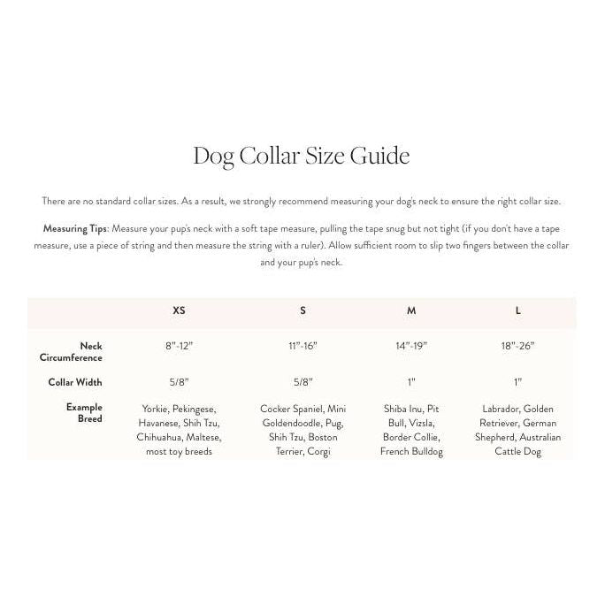 The Foggy Dog Hot Pink Dog Collar