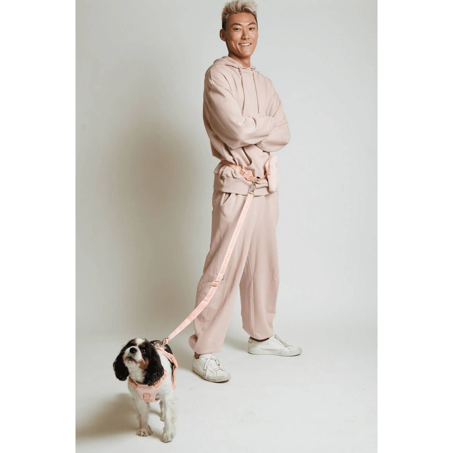 Maxbone Go With Ease! Hands Free Dog Leash