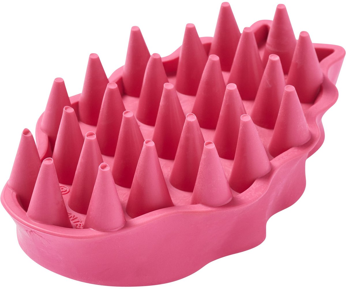 Kong Zoomgroom Raspberry