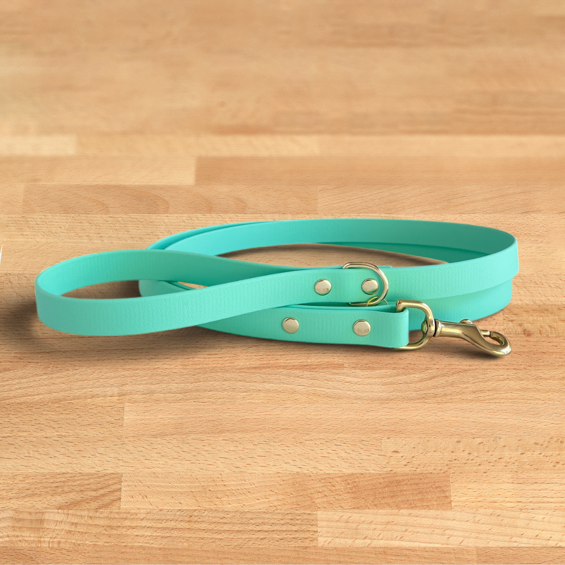 Foxmoth Biothane Waterproof Leash
