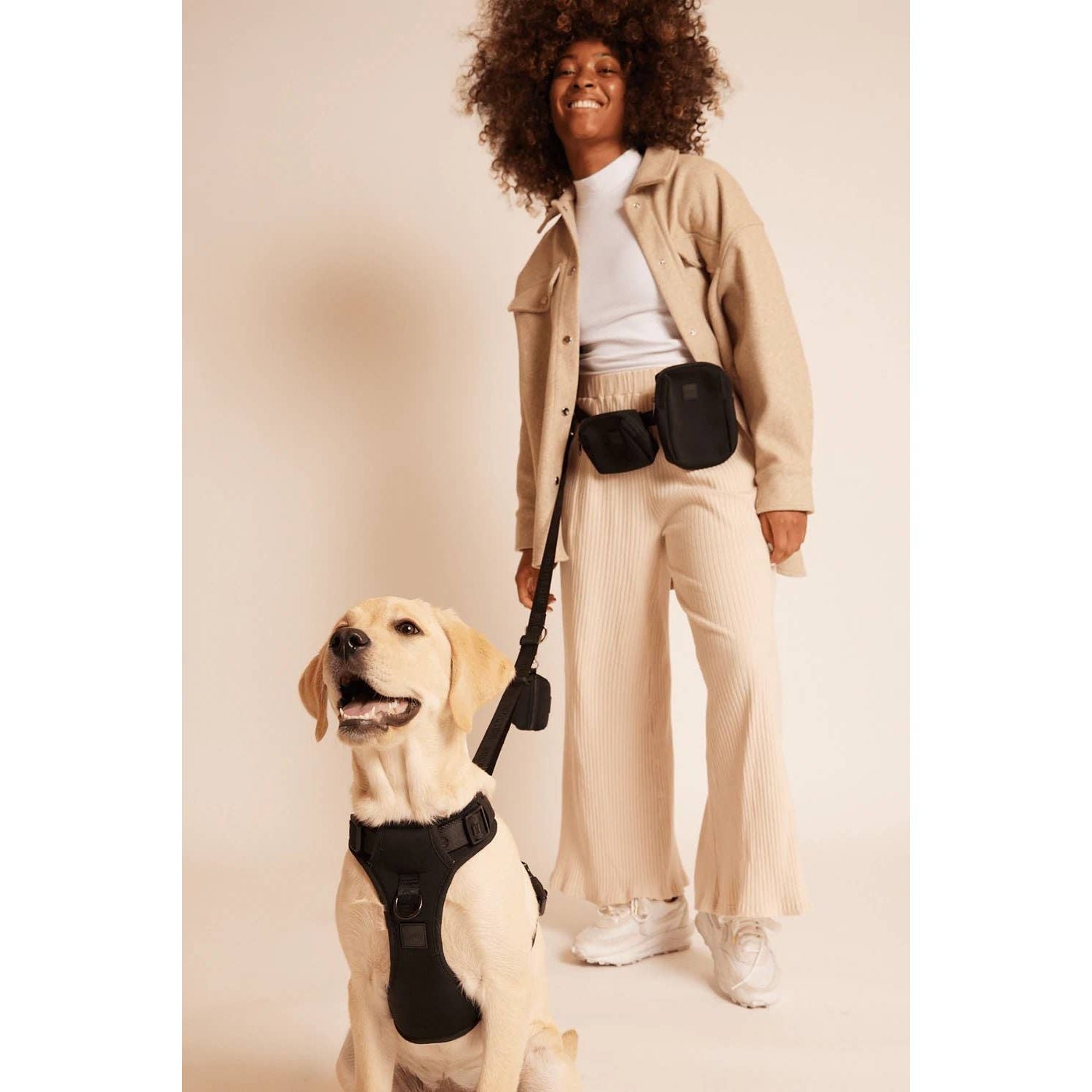 Maxbone Go With Ease! Hands Free Dog Leash