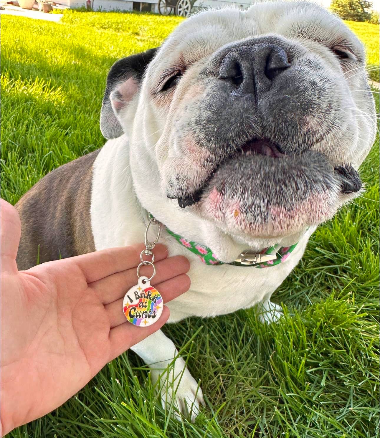 Bad Tags I Bark at Cunts